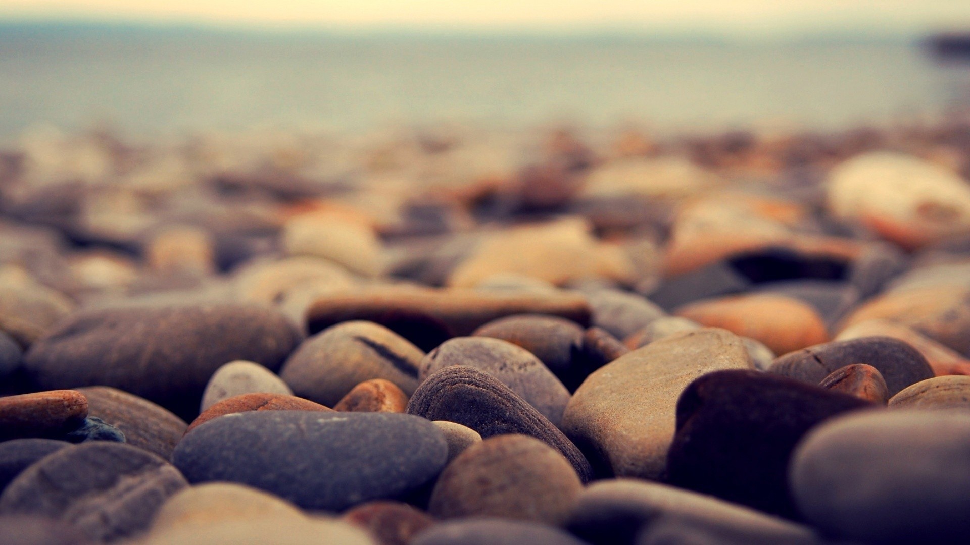 Close-up of smooth stones on a beach with blurred background HD Wallpaper