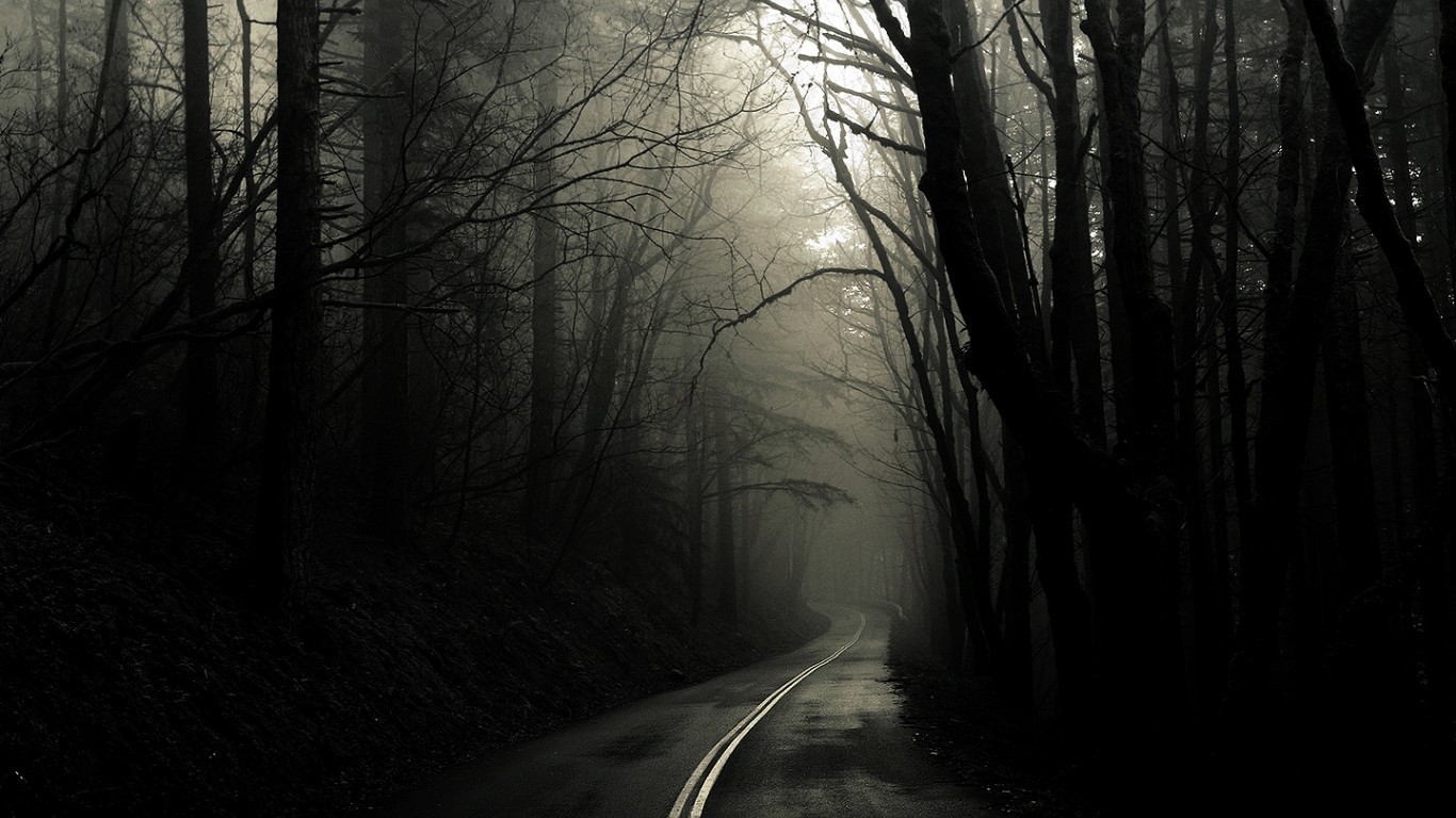 A dark, foggy road winding through a forest HD Wallpaper