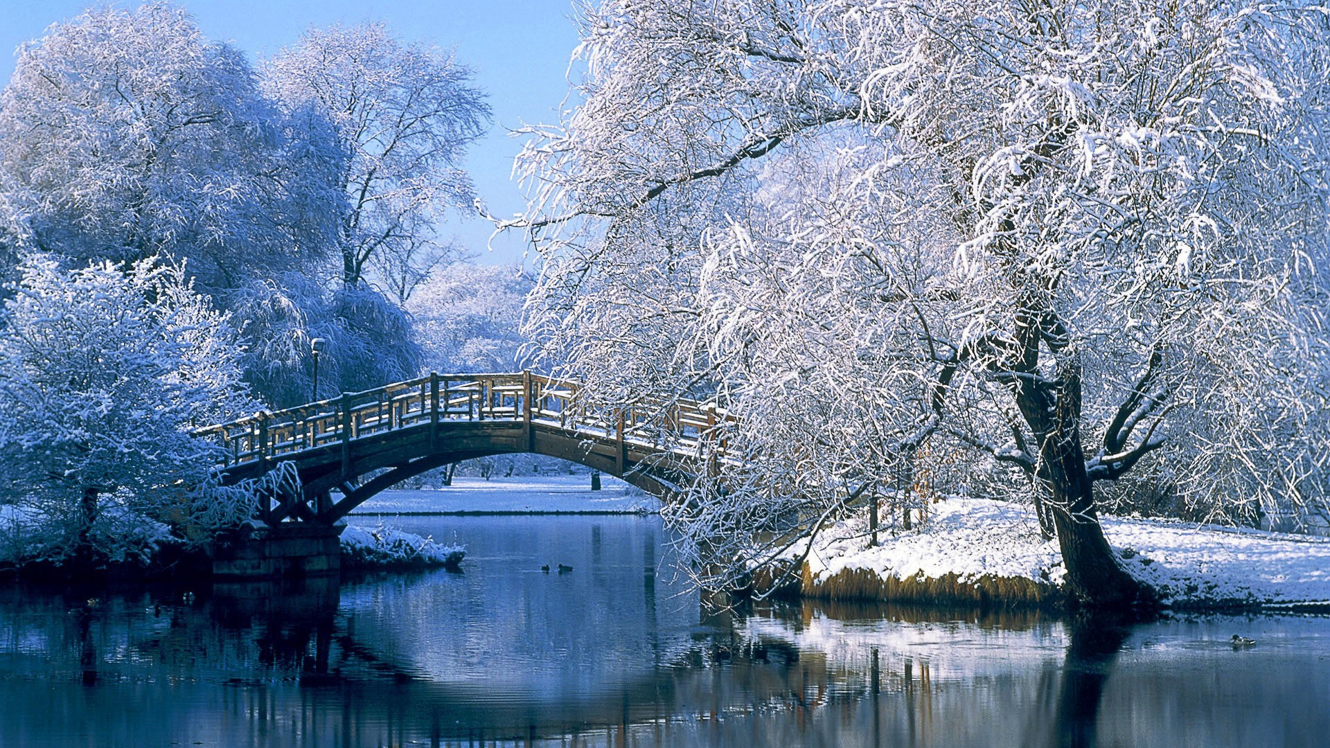 Snow-covered bridge over a calm lake in winter HD Wallpaper