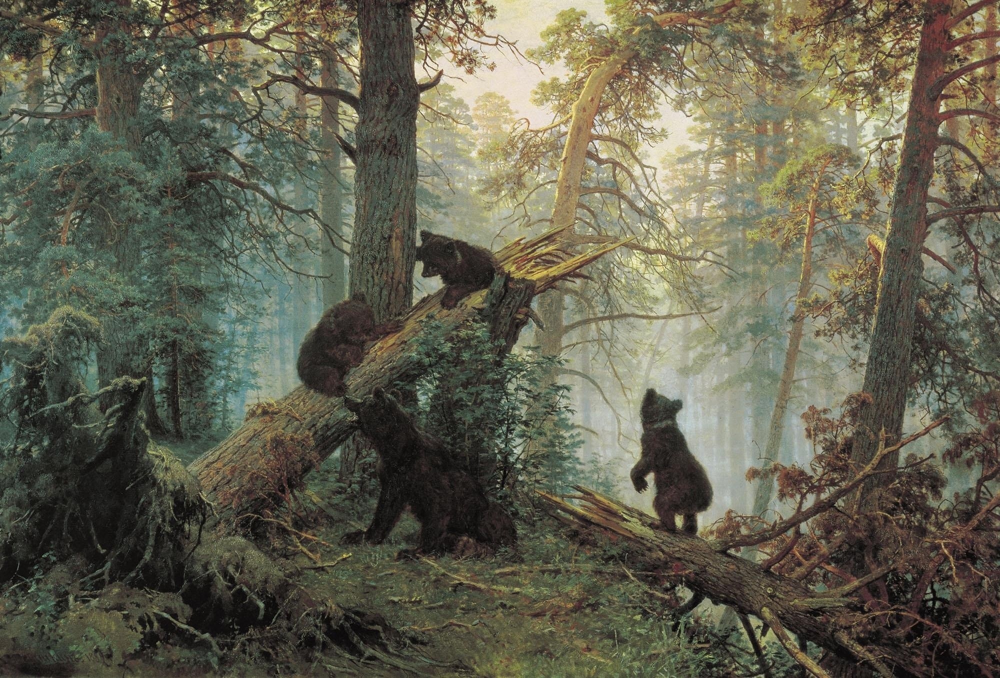 Four bear cubs play on fallen trees in a forest HD Wallpaper