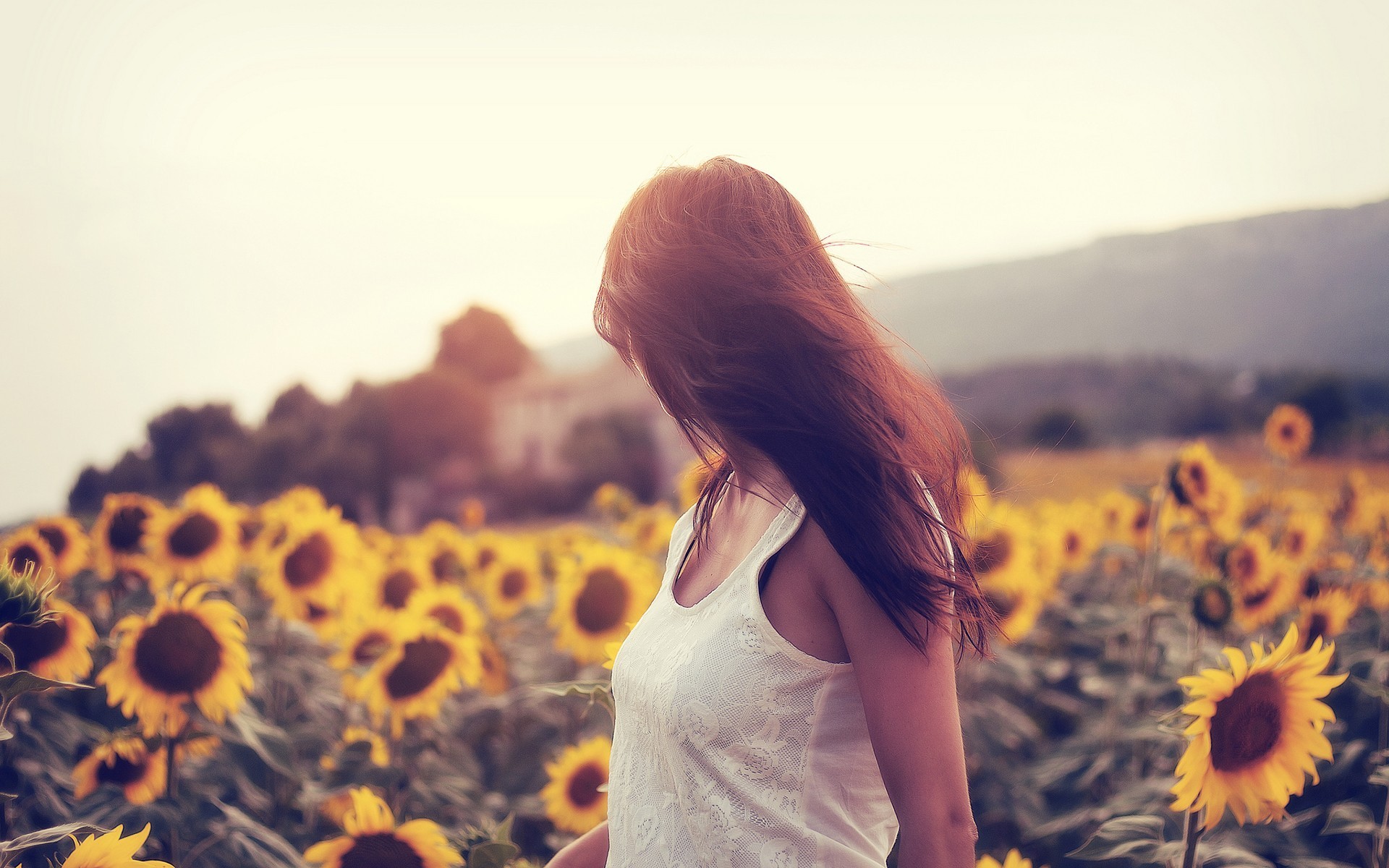Woman in a sunflower field HD Wallpaper