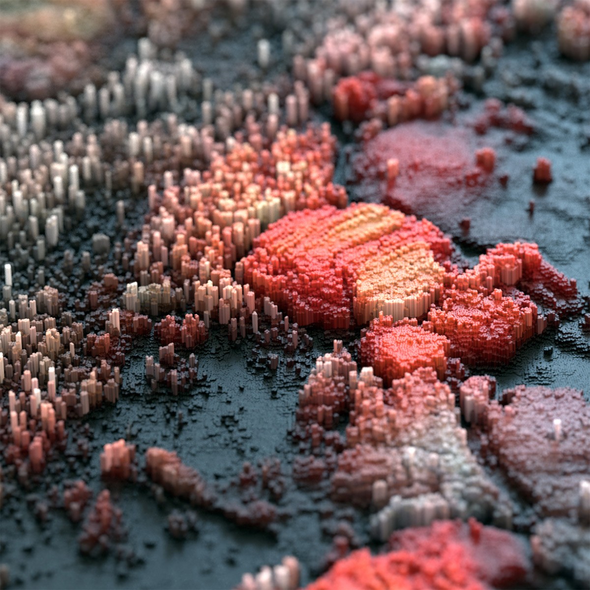 Abstract 3D digital art macro view HD Wallpaper