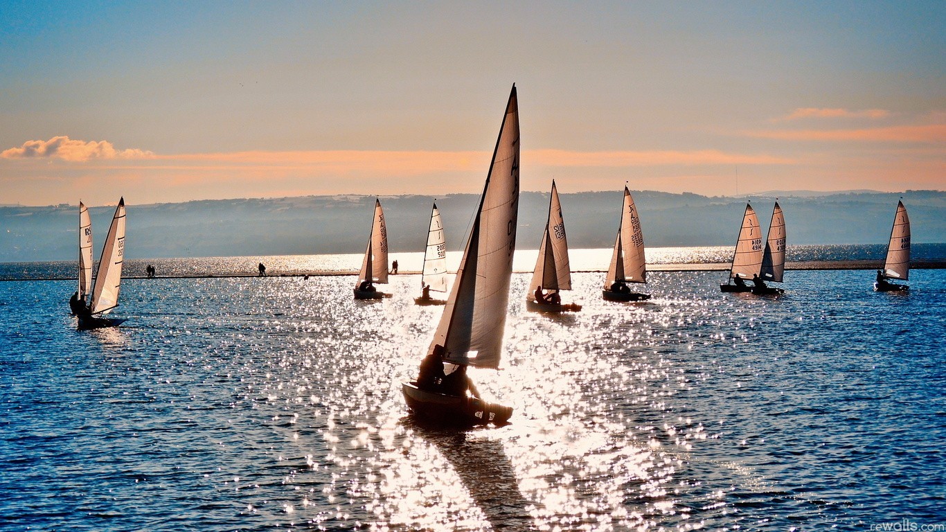 Sailboats racing on the sea at sunset HD Wallpaper