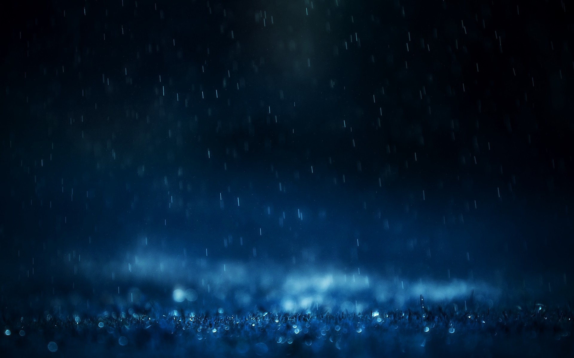 Rain falling on grass with bokeh effect HD Wallpaper