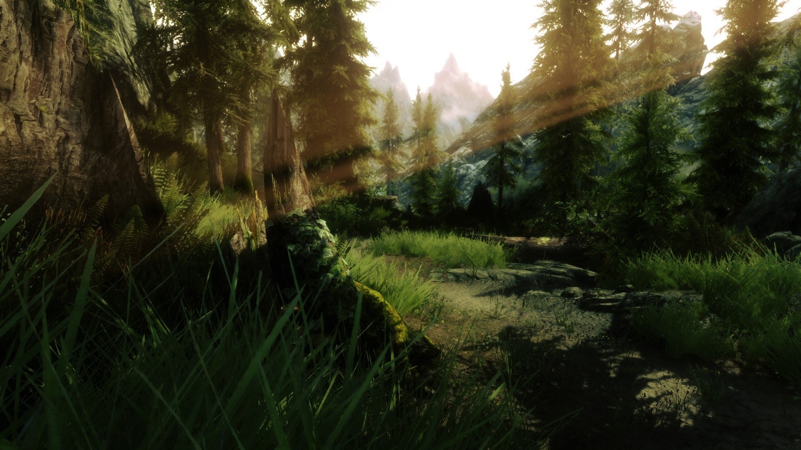 The Elder Scrolls V: Skyrim forest landscape HD Wallpaper