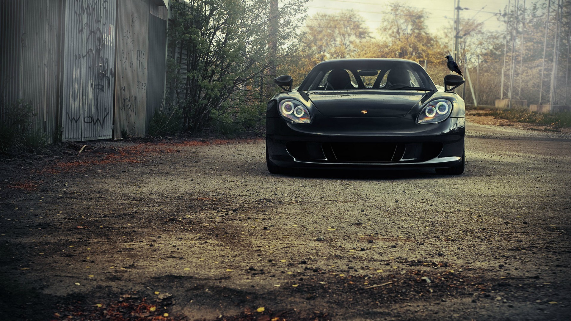 Black Porsche Carrera GT parked on a dirt road HD Wallpaper