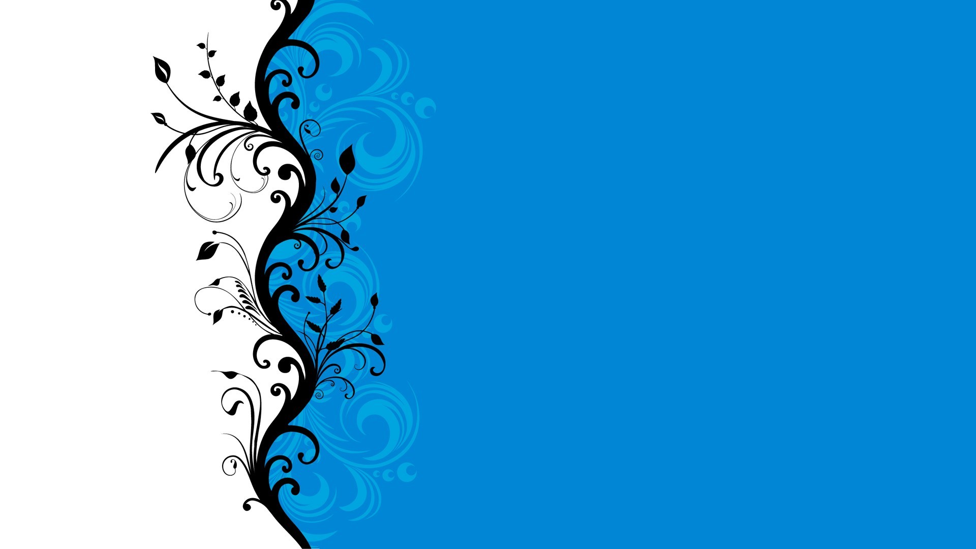 Abstract black floral design on white and blue background HD Wallpaper