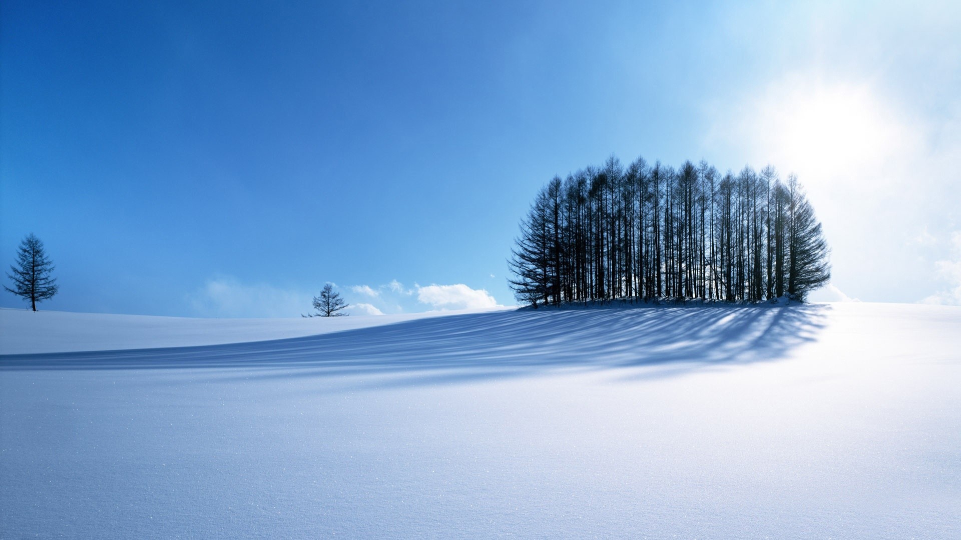 Winter landscape with trees and snow HD Wallpaper