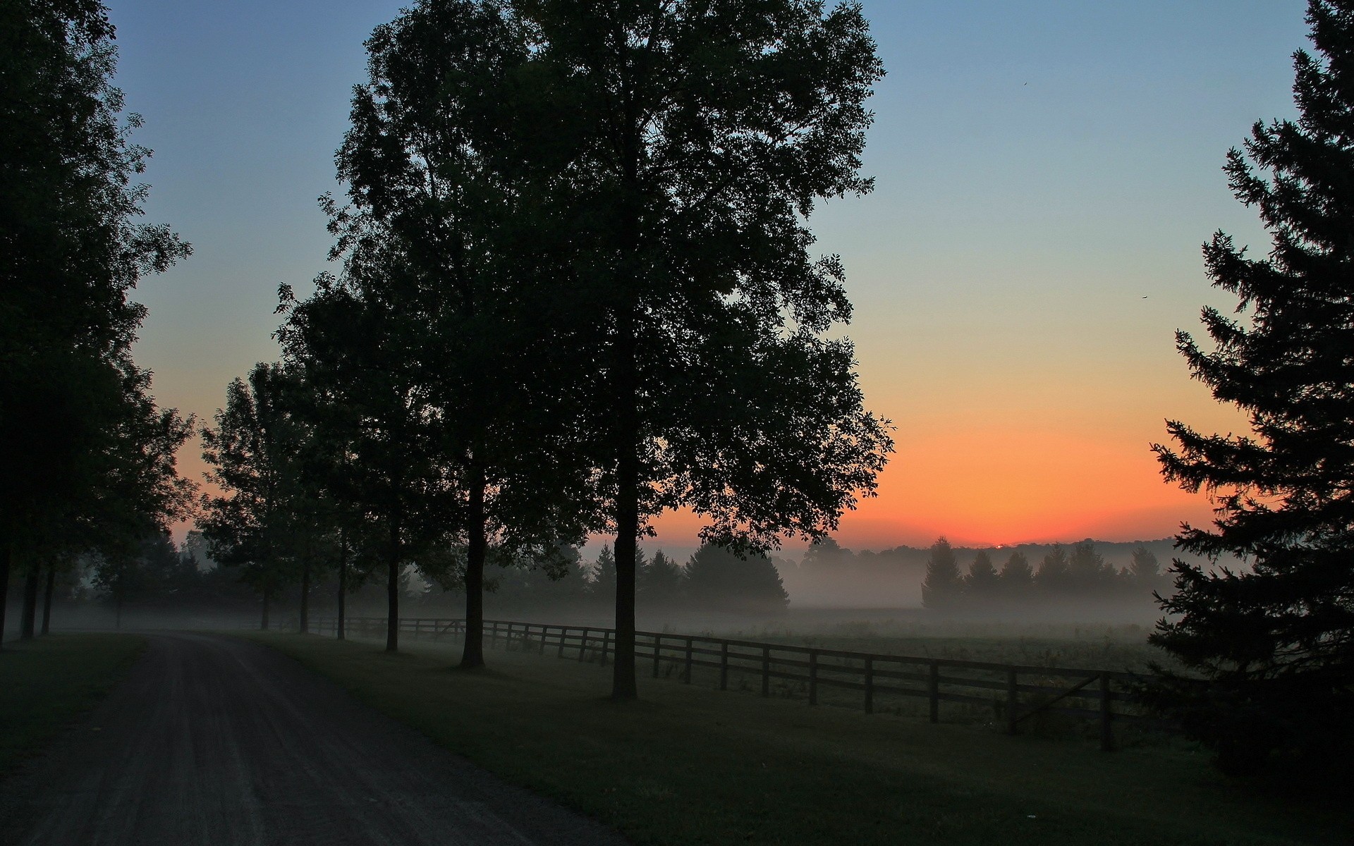 Misty sunrise over a rural landscape with trees and a fence HD Wallpaper