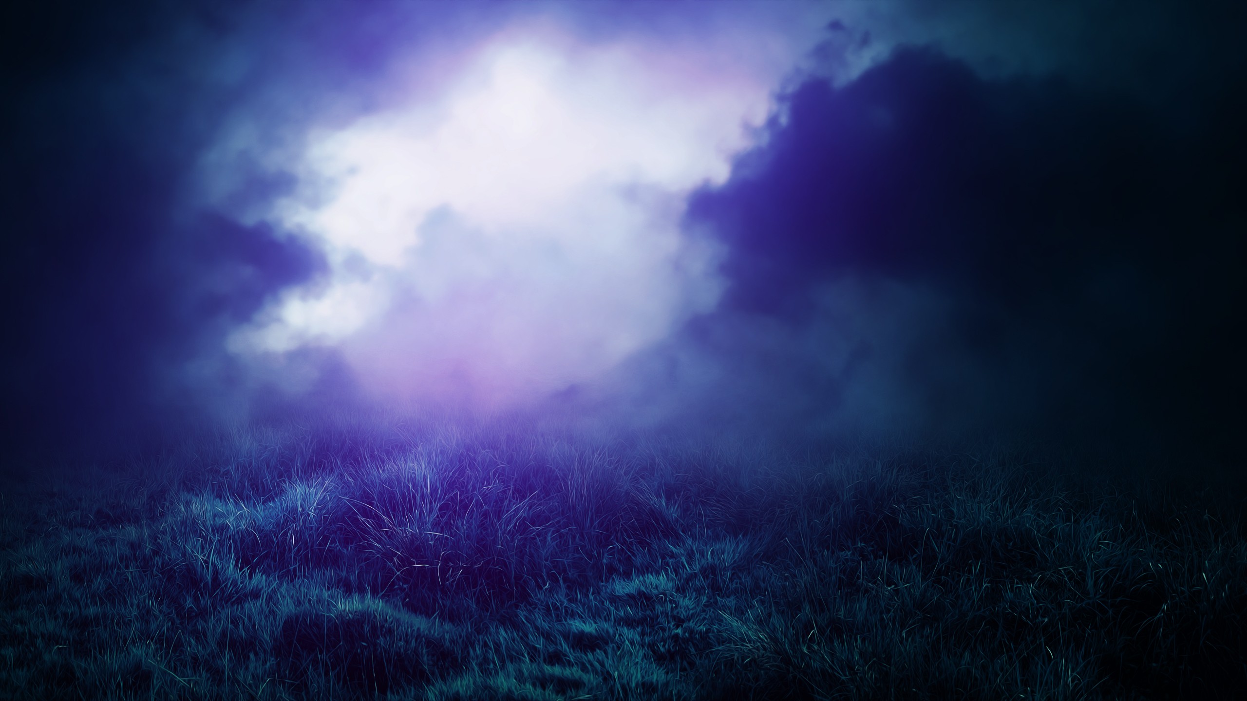 Dark grassy field with purple mist and clouds HD Wallpaper