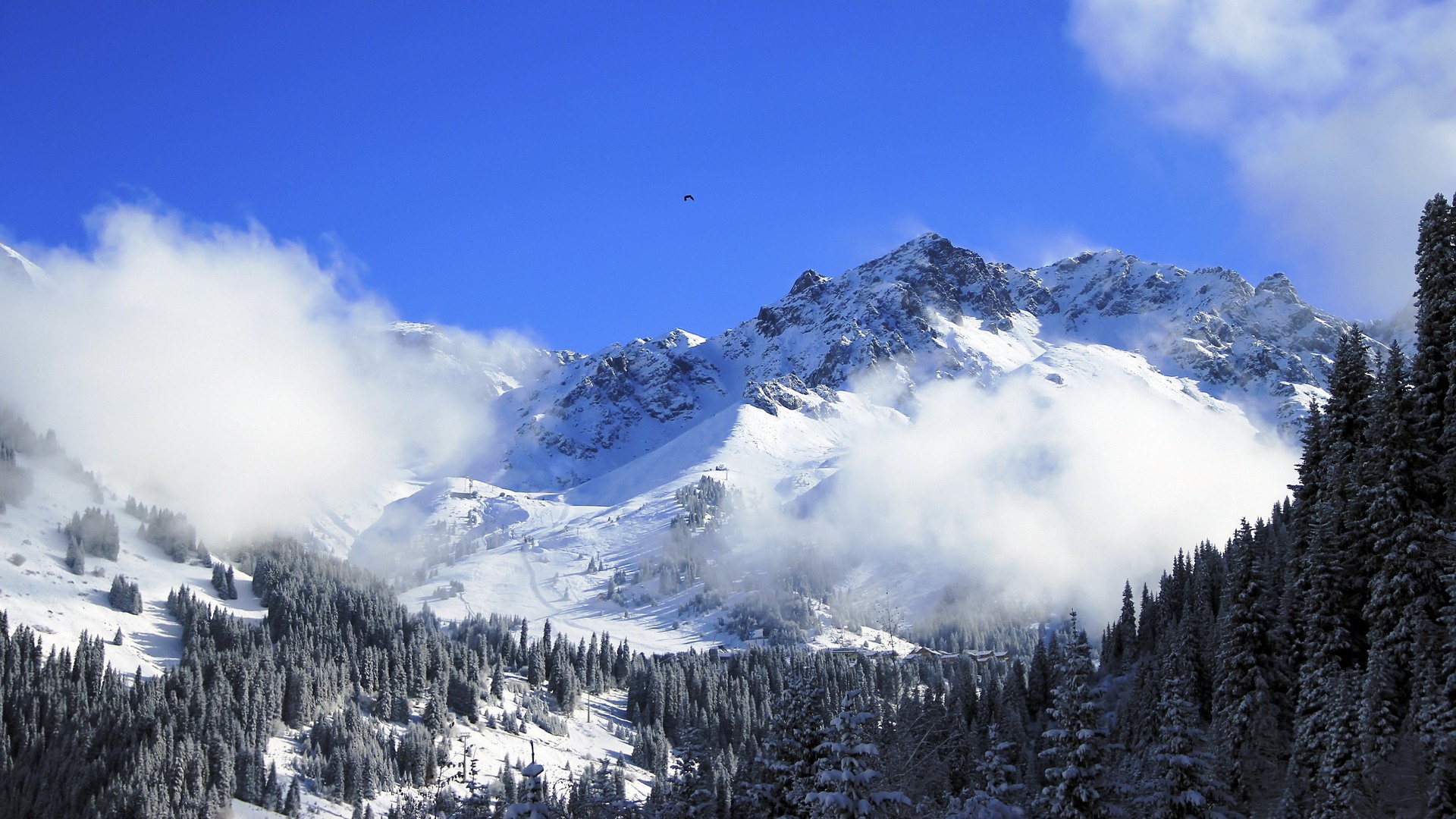 Snowy mountains with clouds and pine trees HD Wallpaper