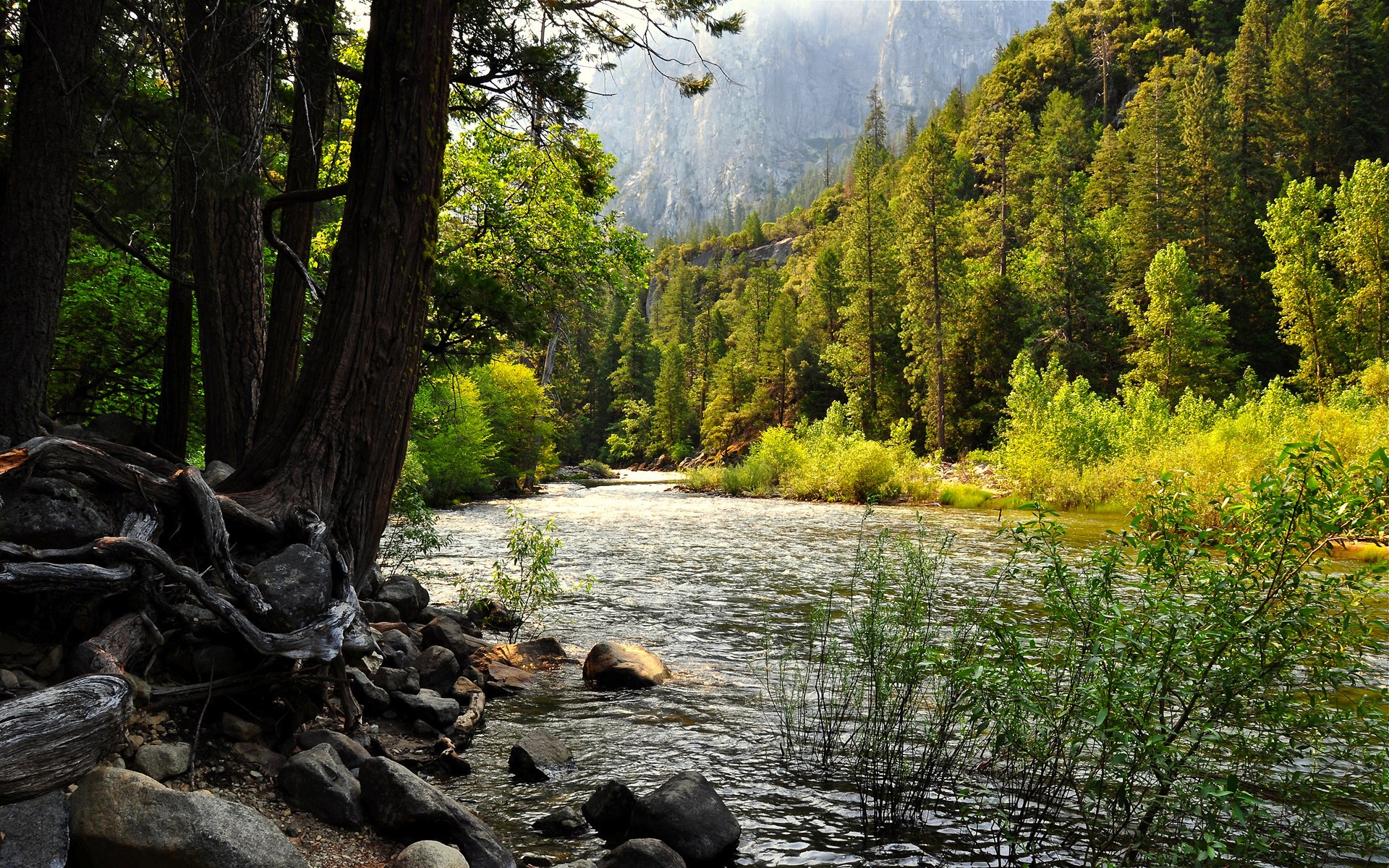 River flowing through a forest with mountains in the background HD Wallpaper