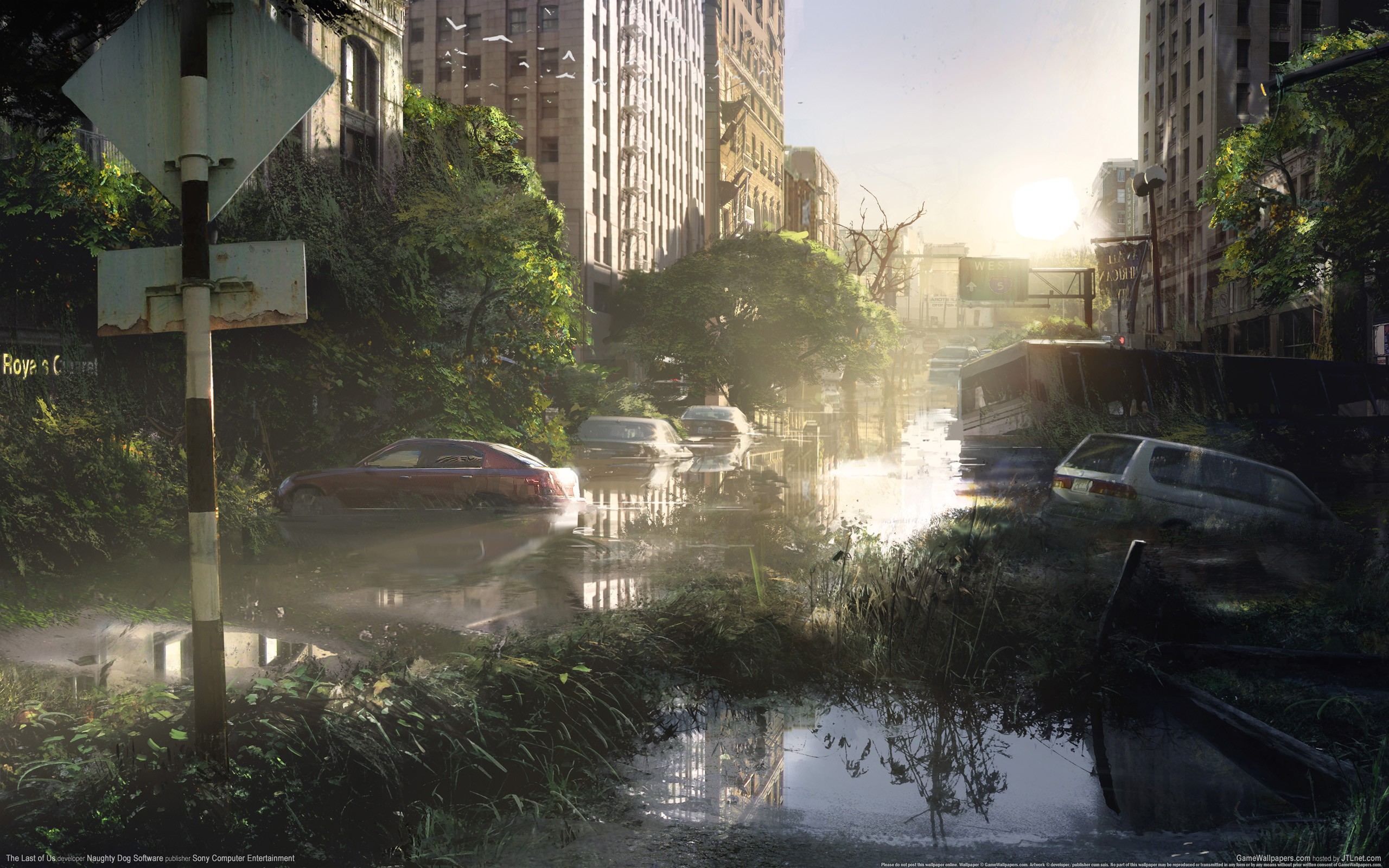 The Last of Us flooded city street with abandoned cars HD Wallpaper