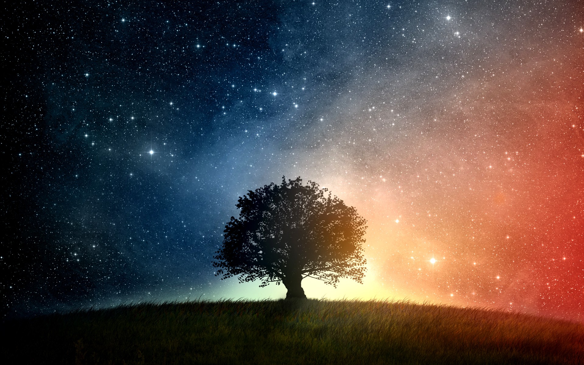 Tree on a hill under a starry sky HD Wallpaper
