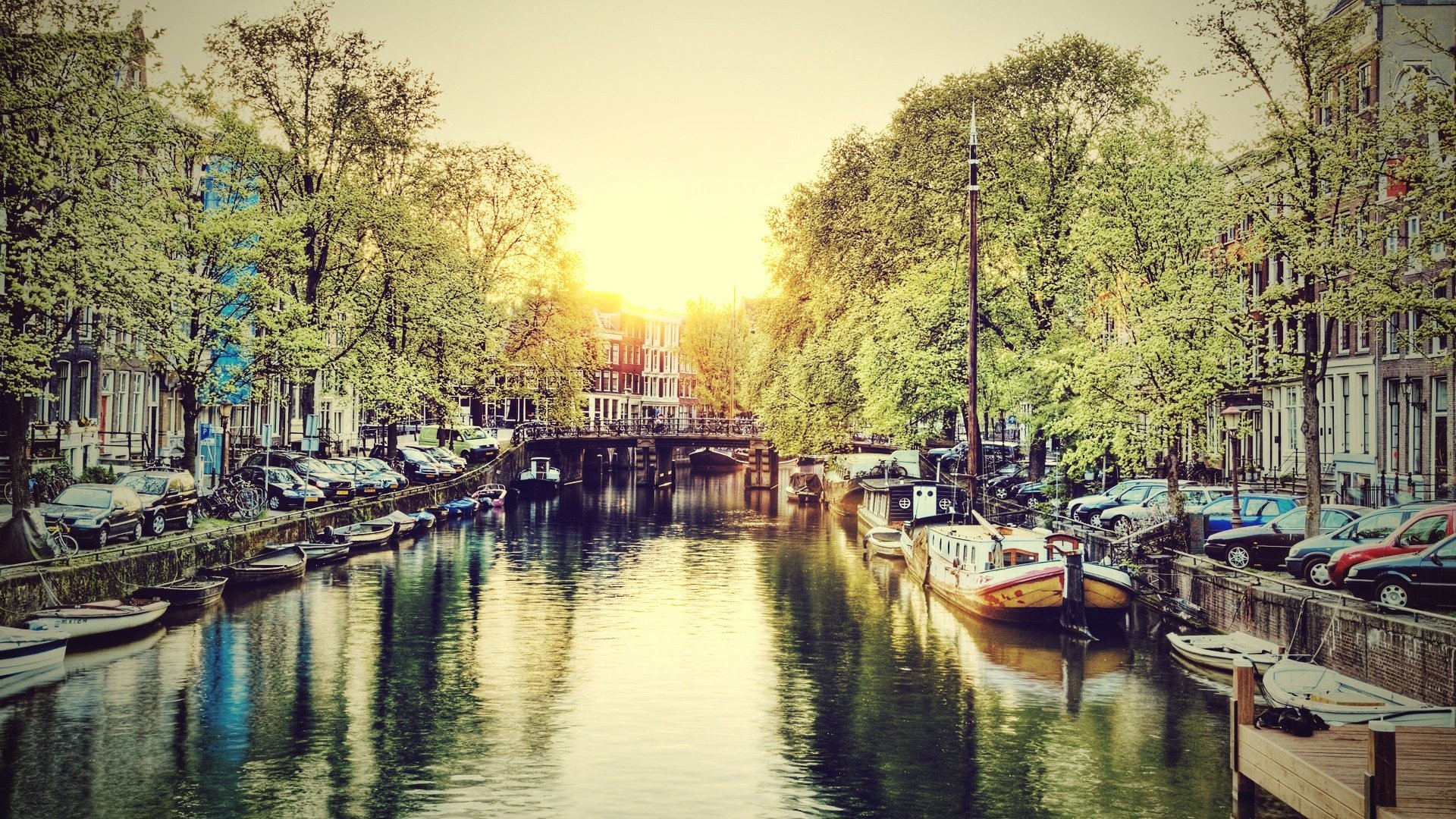 Amsterdam canal with boats and trees at sunset HD Wallpaper