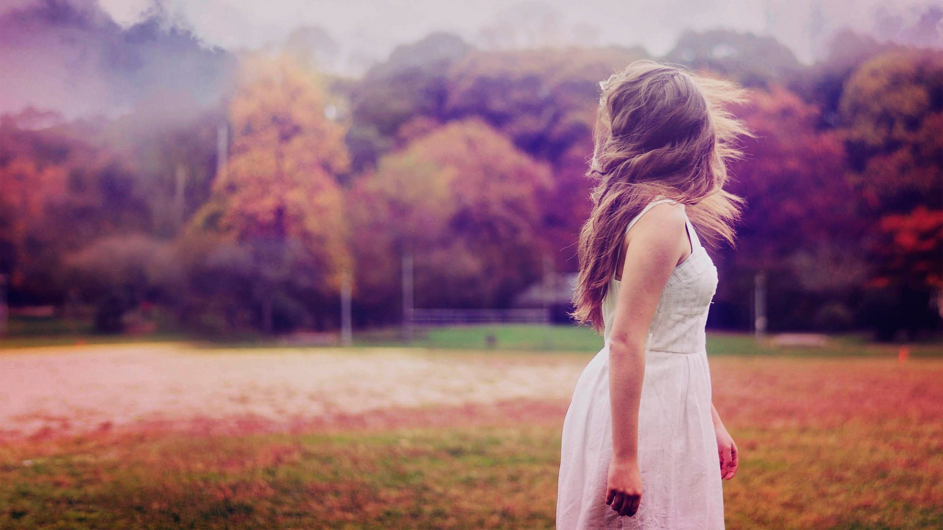 Woman in white dress in autumn field HD Wallpaper