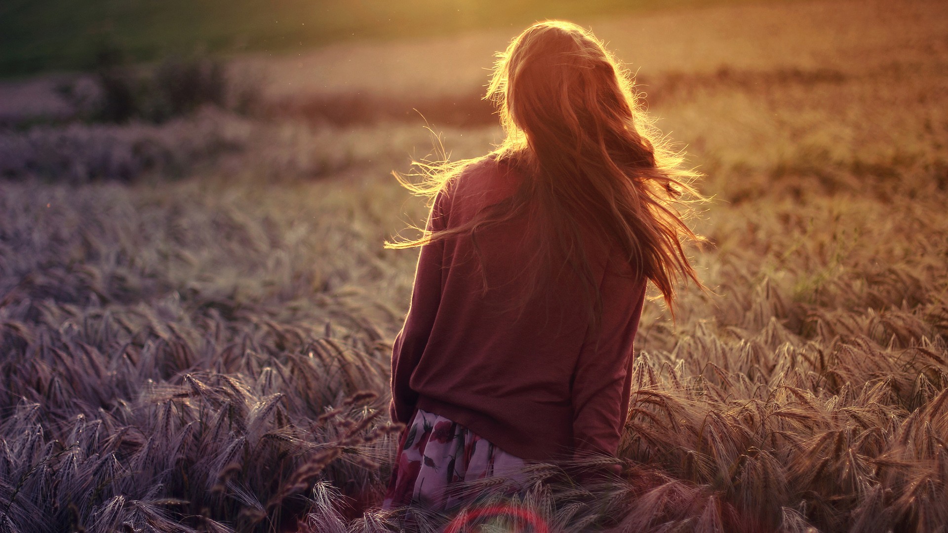 Woman with long hair in a field at sunset HD Wallpaper