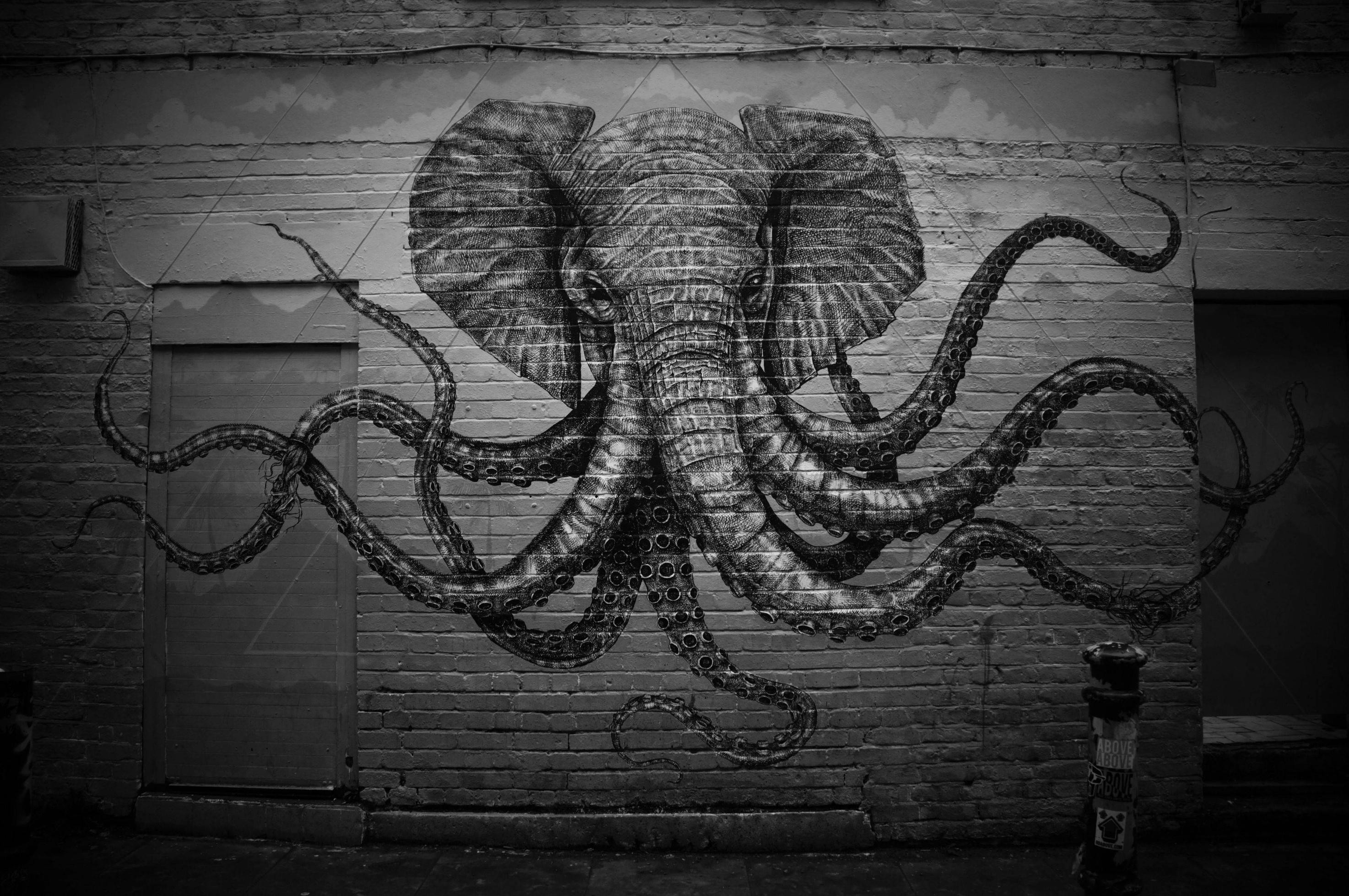 Monochrome graffiti of an elephant with octopus tentacles on a brick wall HD Wallpaper