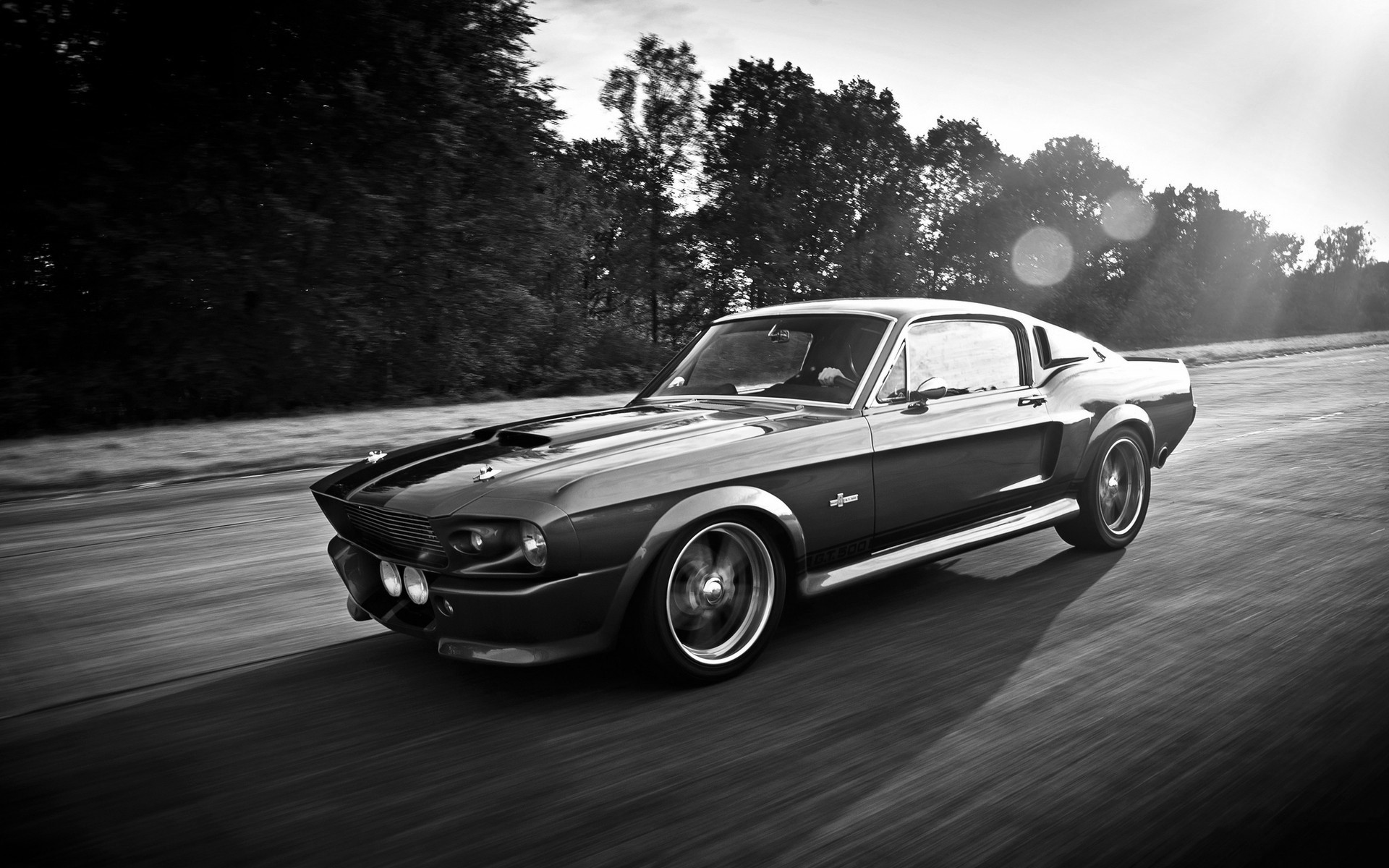 Black Ford Mustang Shelby driving on a road HD Wallpaper