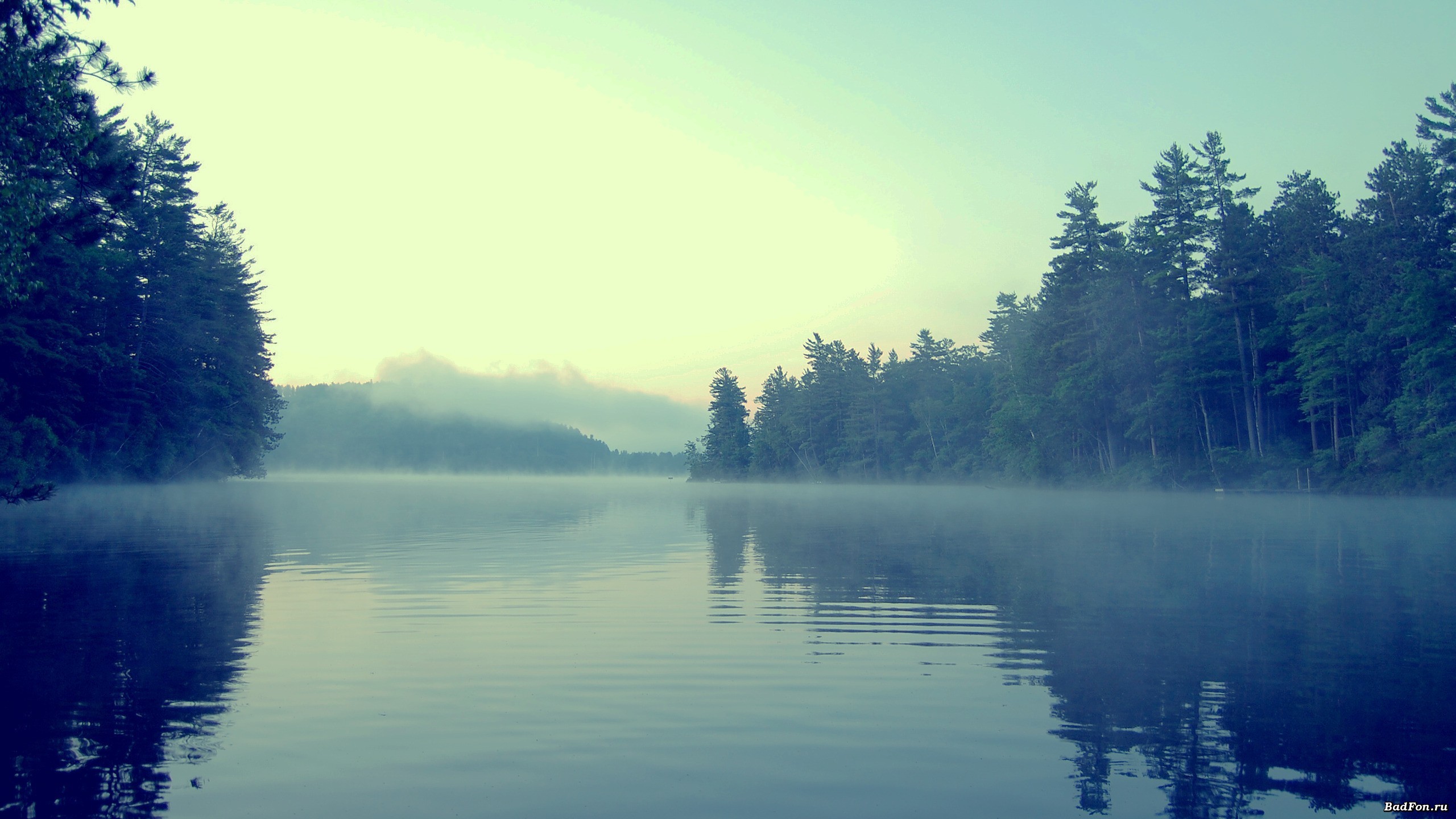 Misty lake surrounded by a dense forest at dawn HD Wallpaper