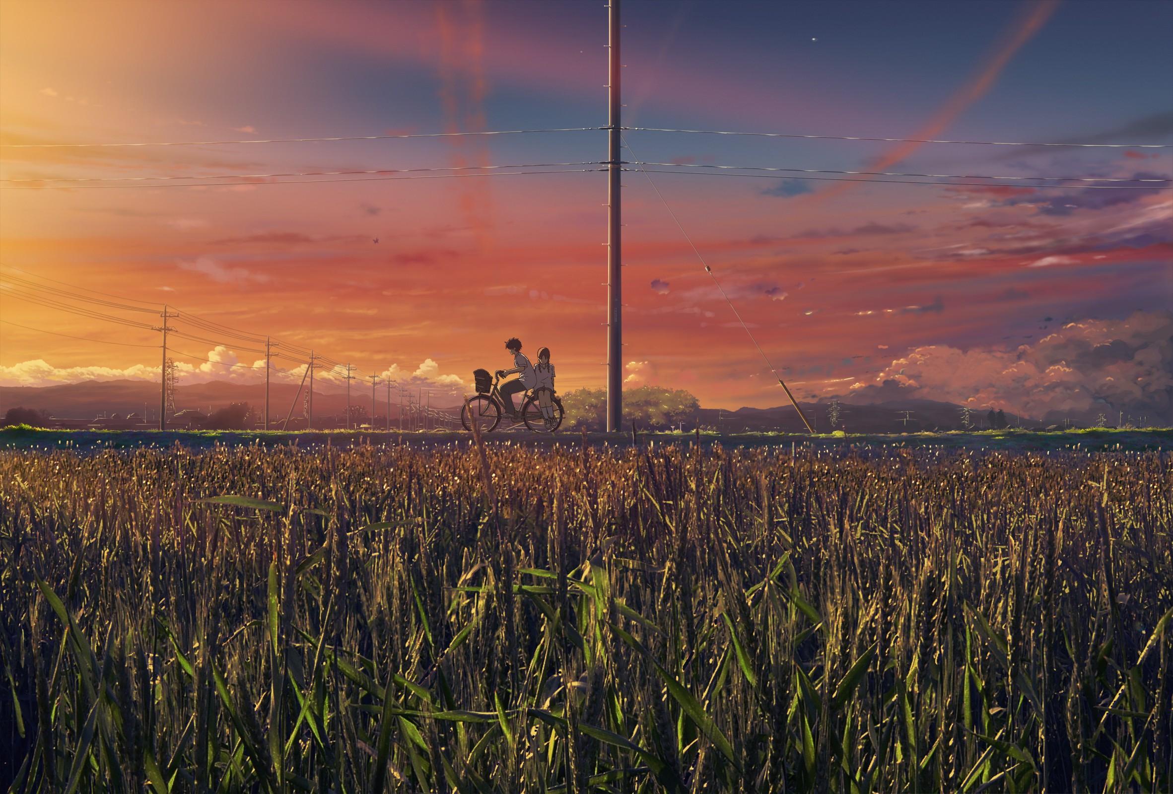 Anime couple riding a bicycle through a wheat field at sunset HD Wallpaper