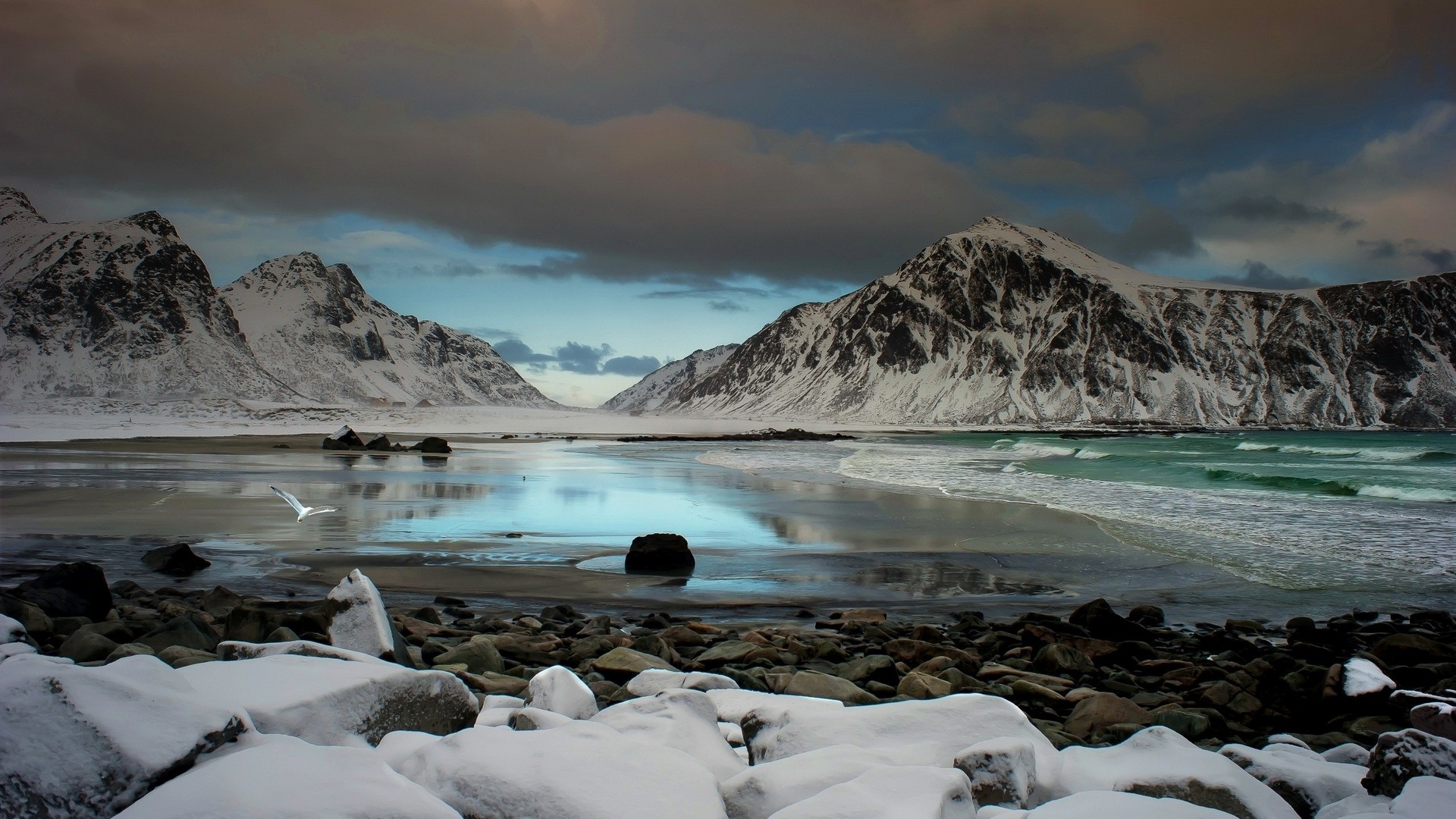 Snow-covered mountains and a beach with a bird flying HD Wallpaper