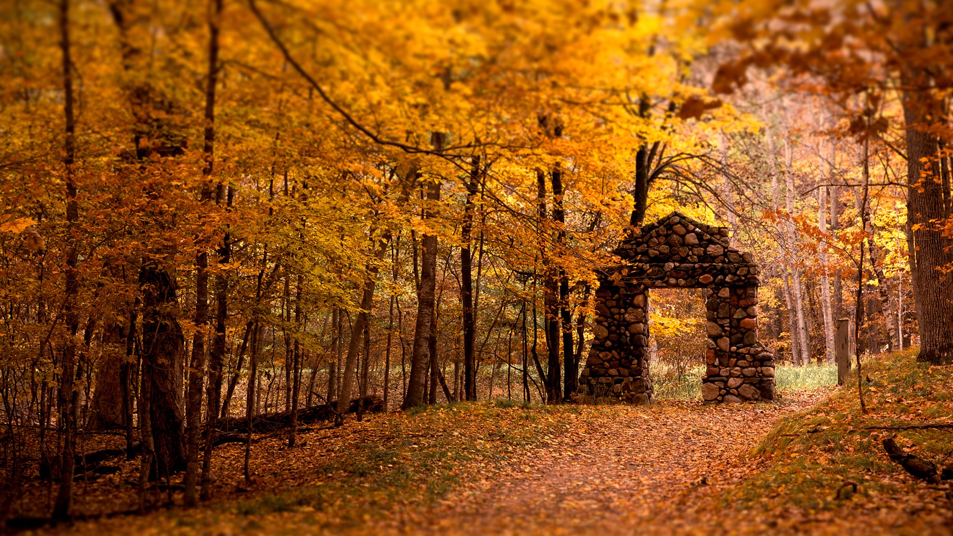 Stone archway in a forest during autumn HD Wallpaper