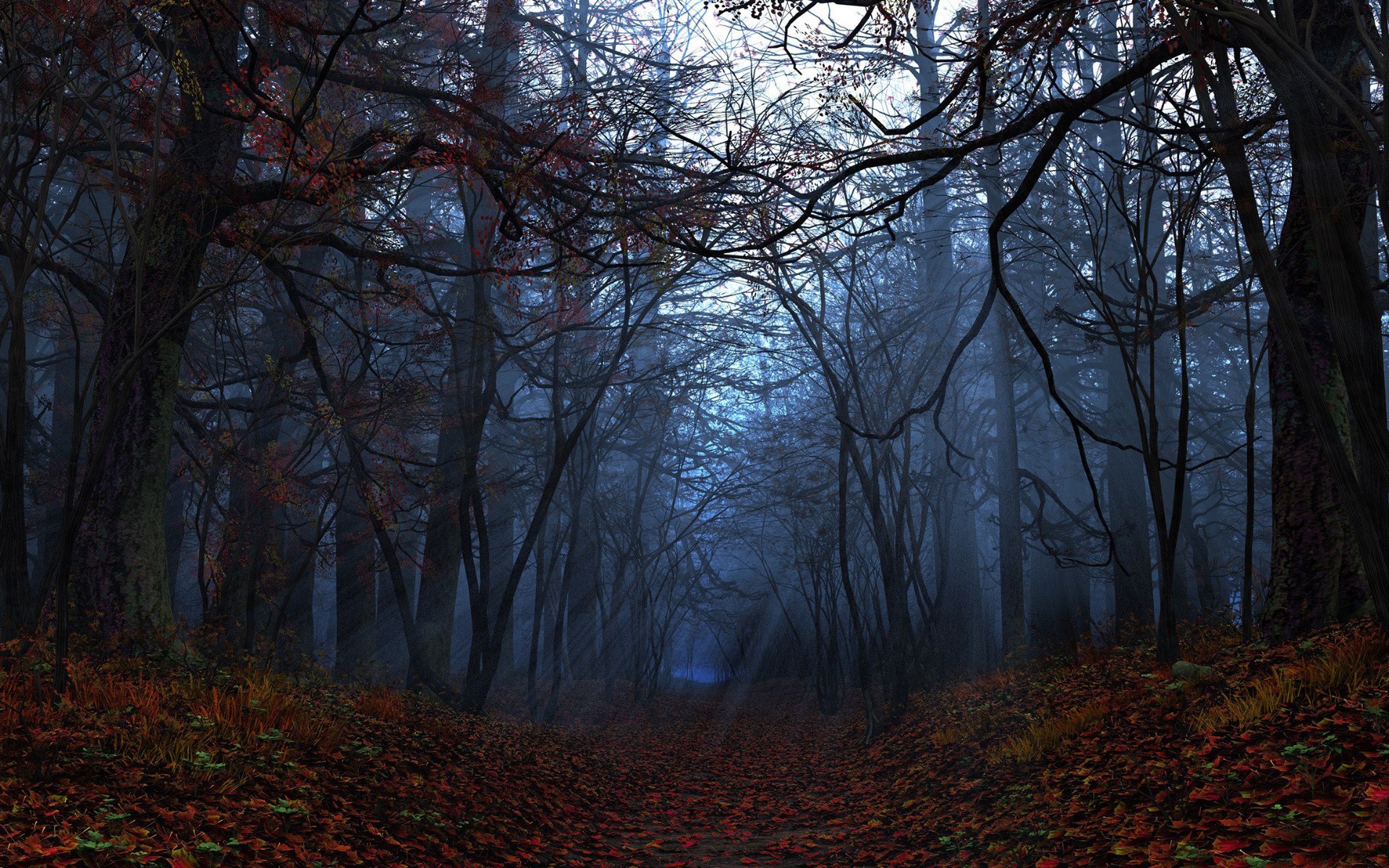 A dark, foggy forest path in autumn HD Wallpaper