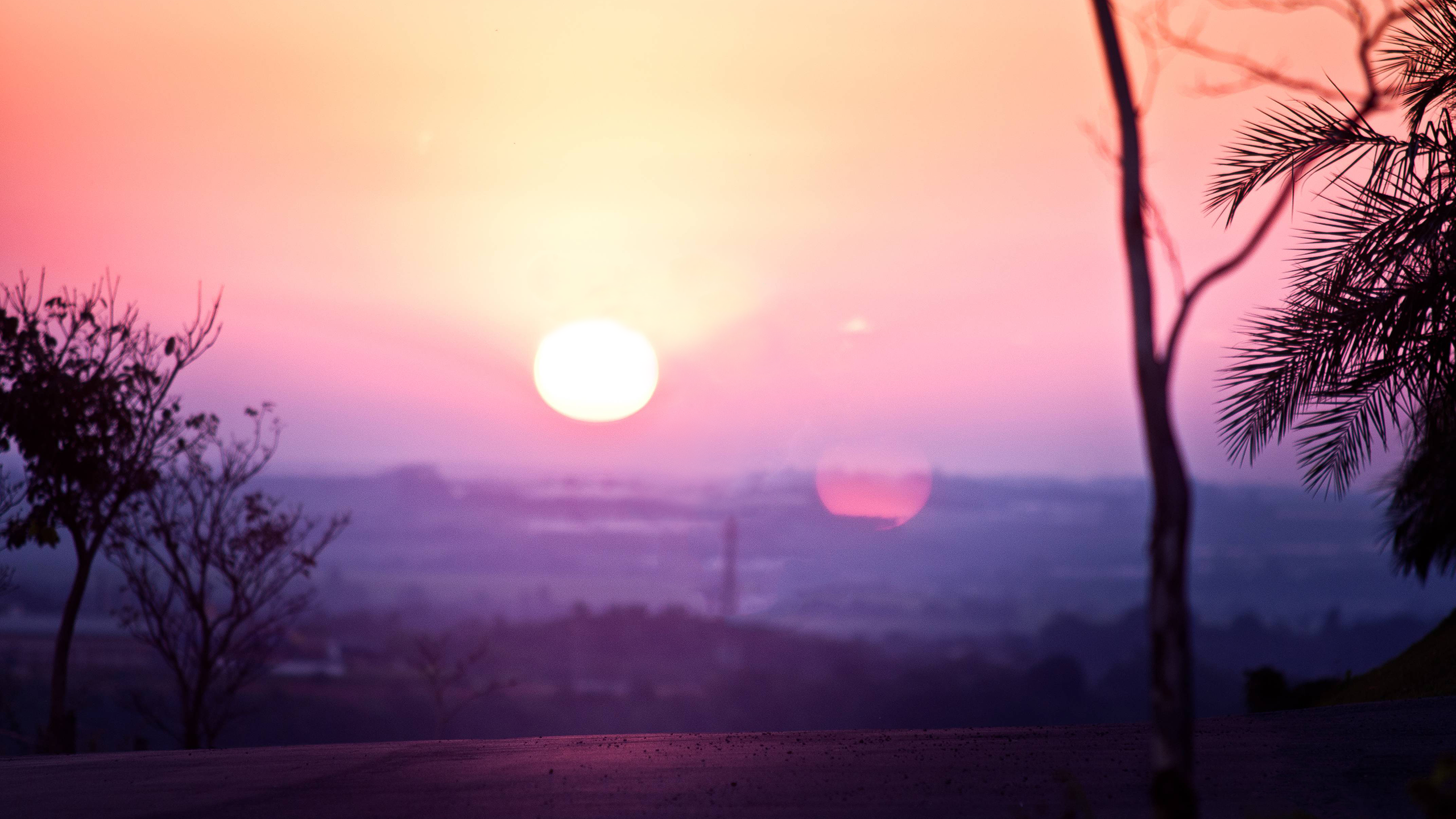 Sunset over a purple landscape with trees and asphalt HD Wallpaper