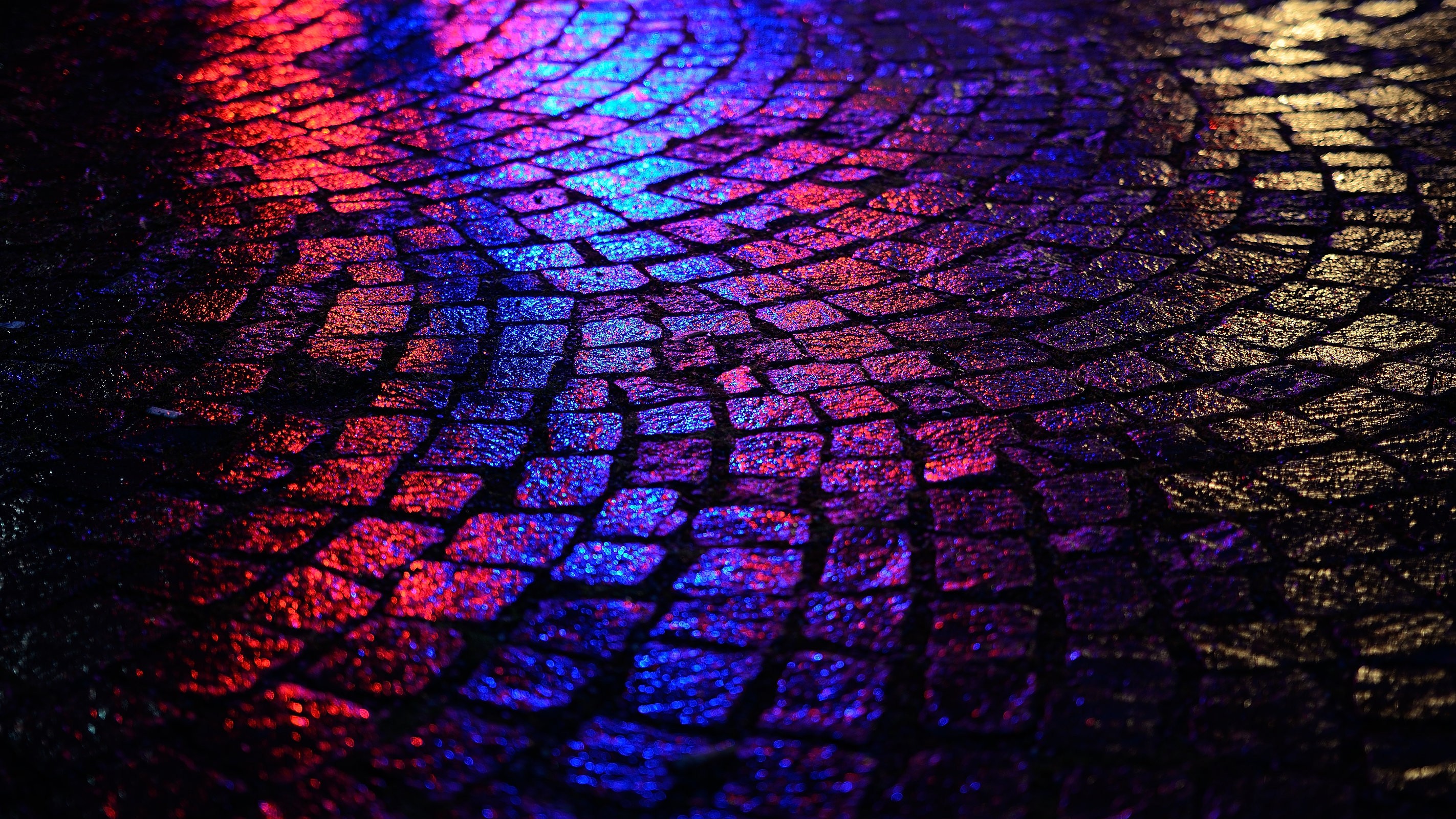 Wet cobblestone street with red and blue lights HD Wallpaper