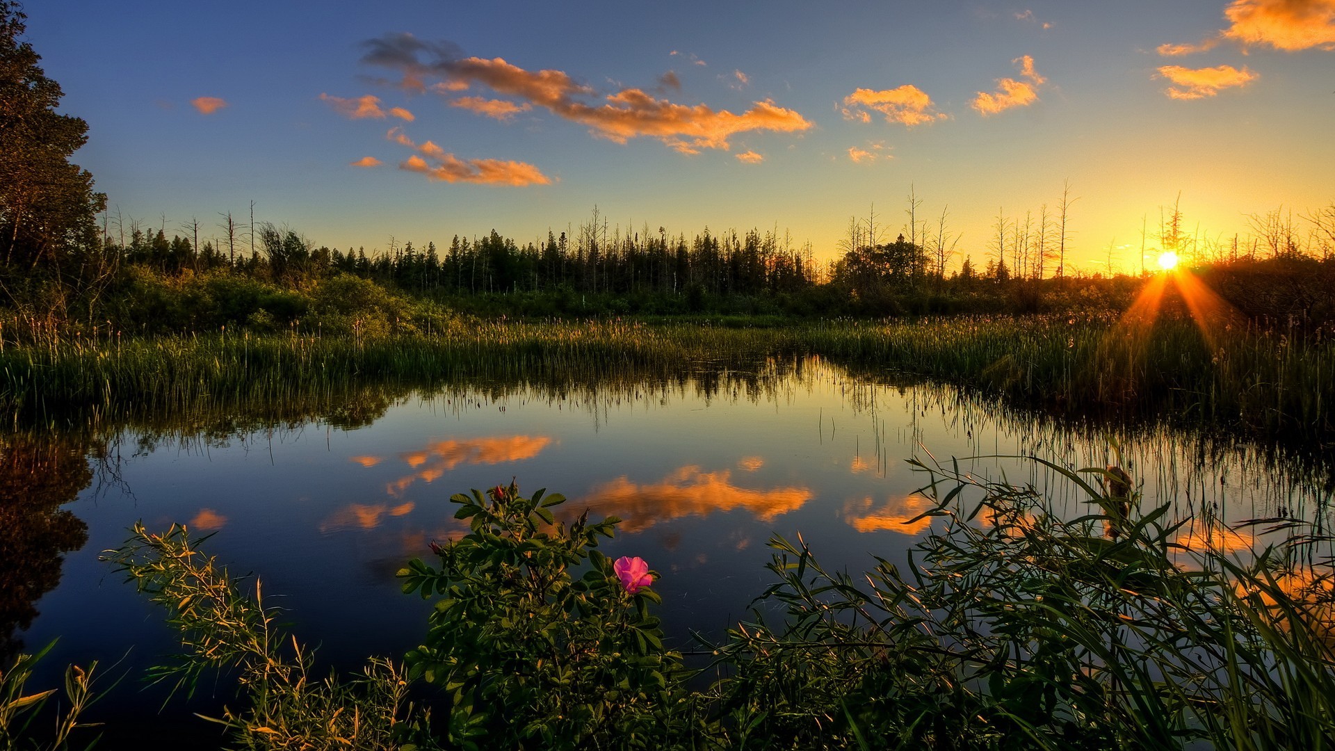 Sunset over a lake with trees and clouds HD Wallpaper