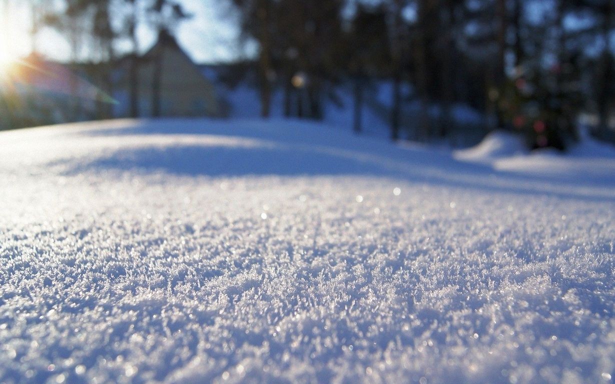 Close-up of snow with a house and trees in the background HD Wallpaper
