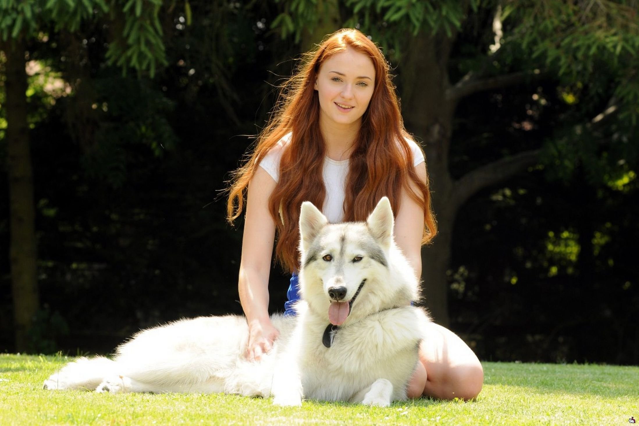 Sophie Turner with a husky dog outdoors HD Wallpaper