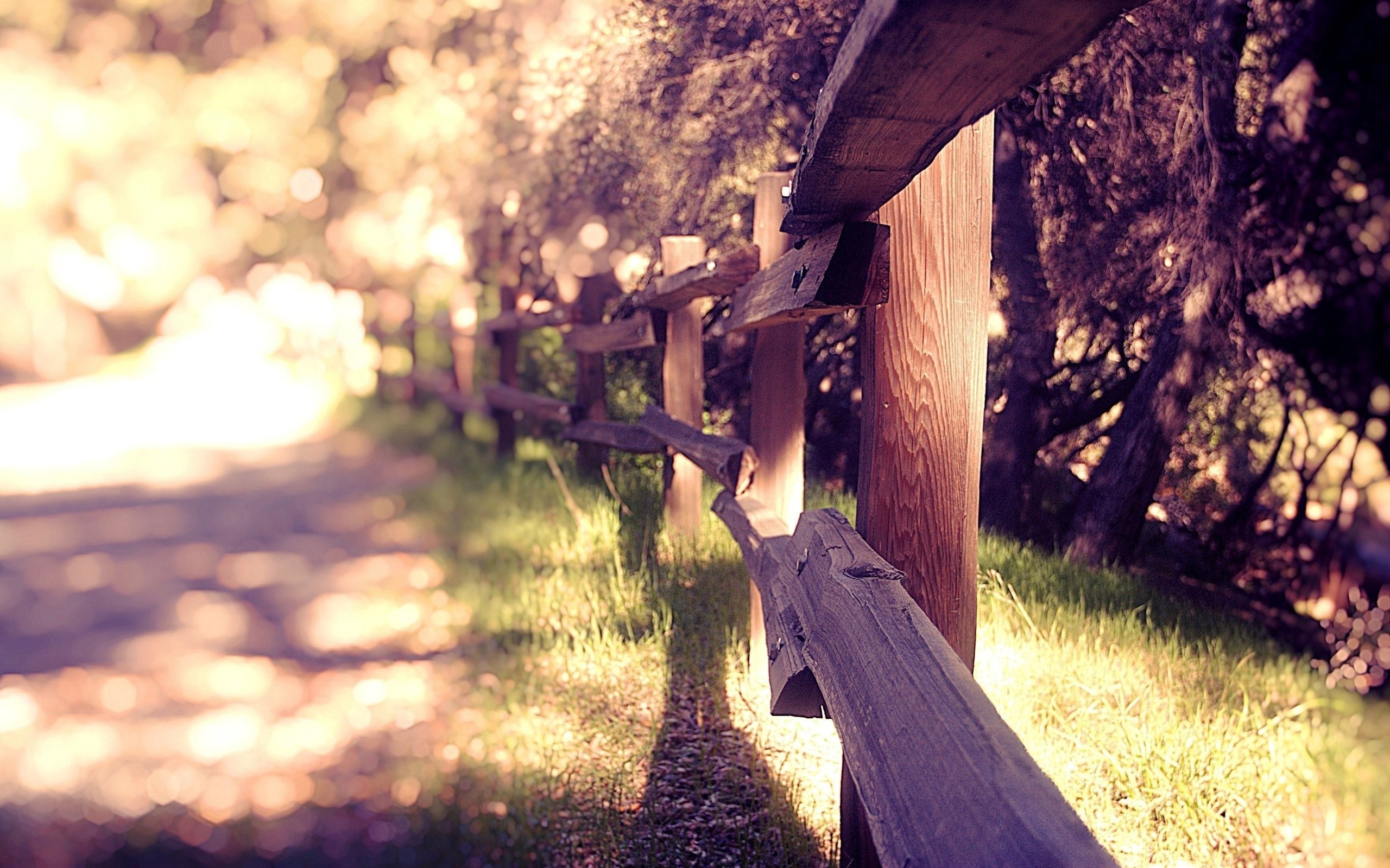 Wooden fence along a path with sunlight HD Wallpaper