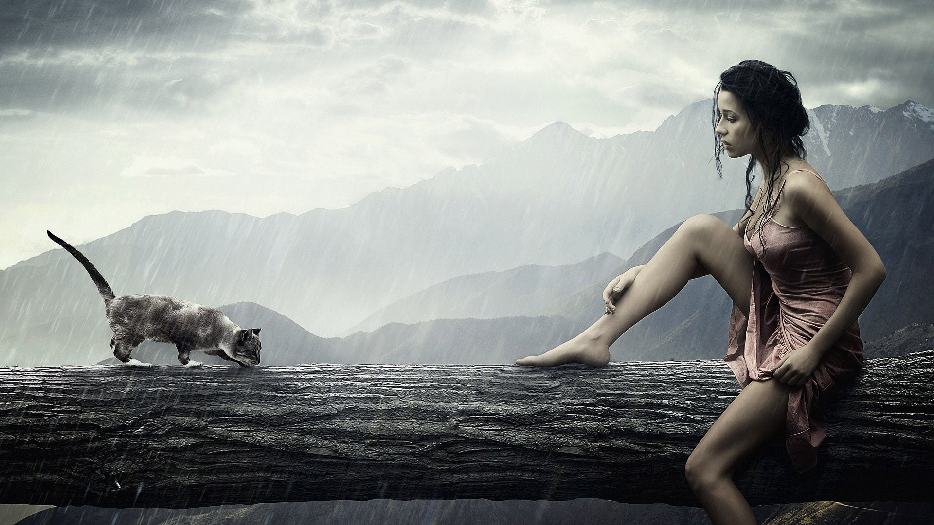 Woman and cat on a log in the rain HD Wallpaper