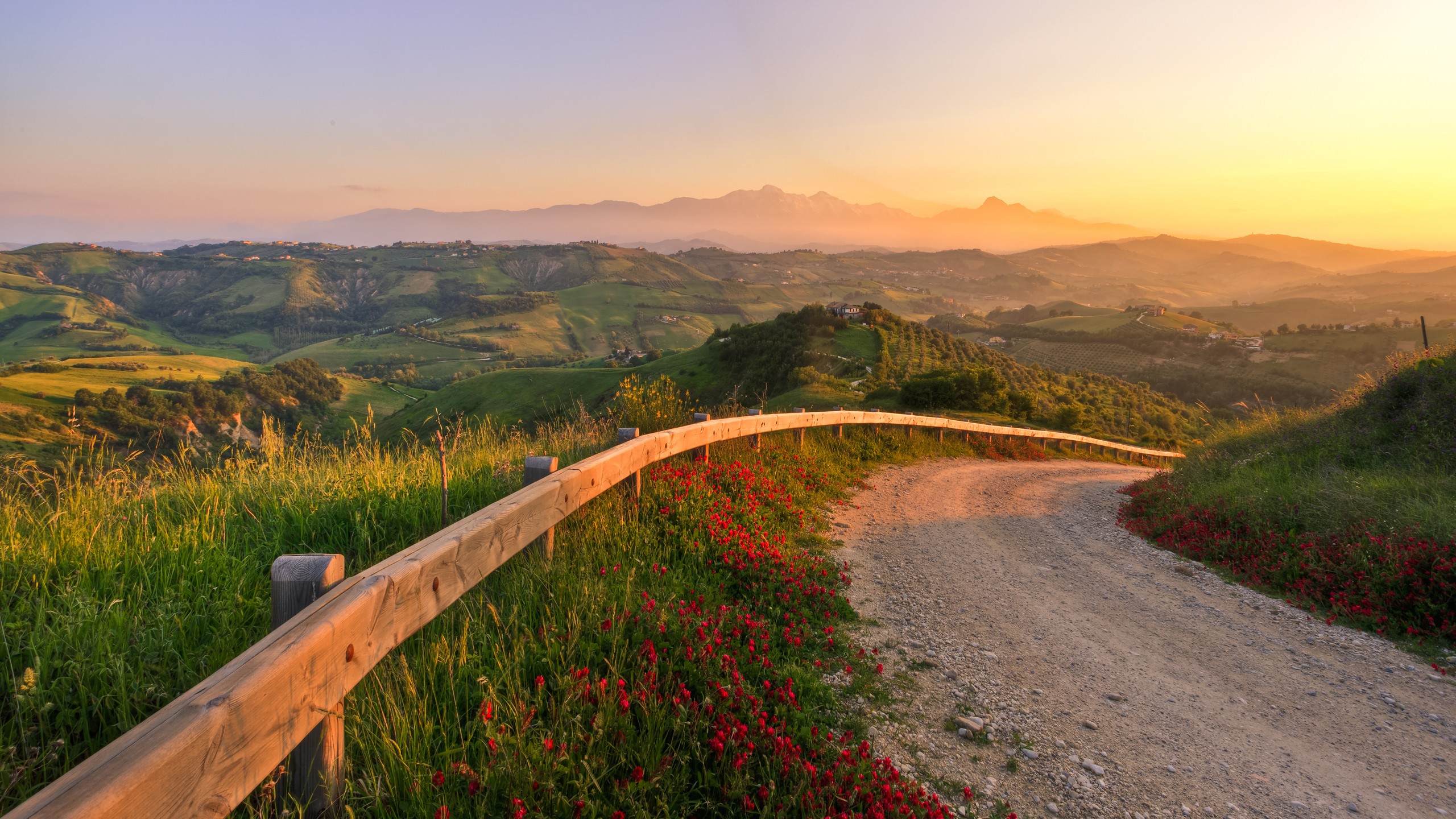 Dirt road winding through rolling hills at sunset HD Wallpaper
