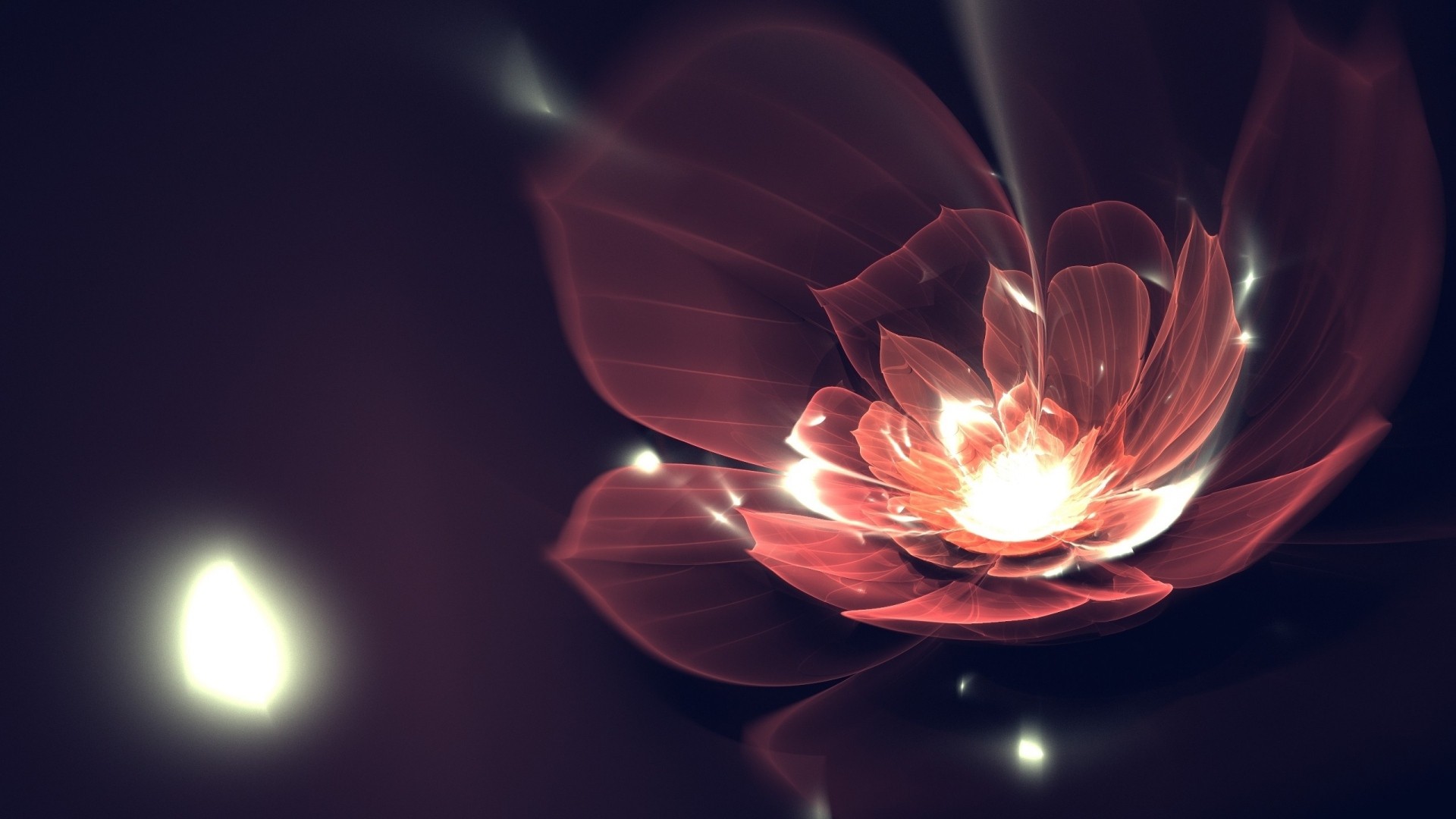 Fractal flower with glowing center and petals HD Wallpaper