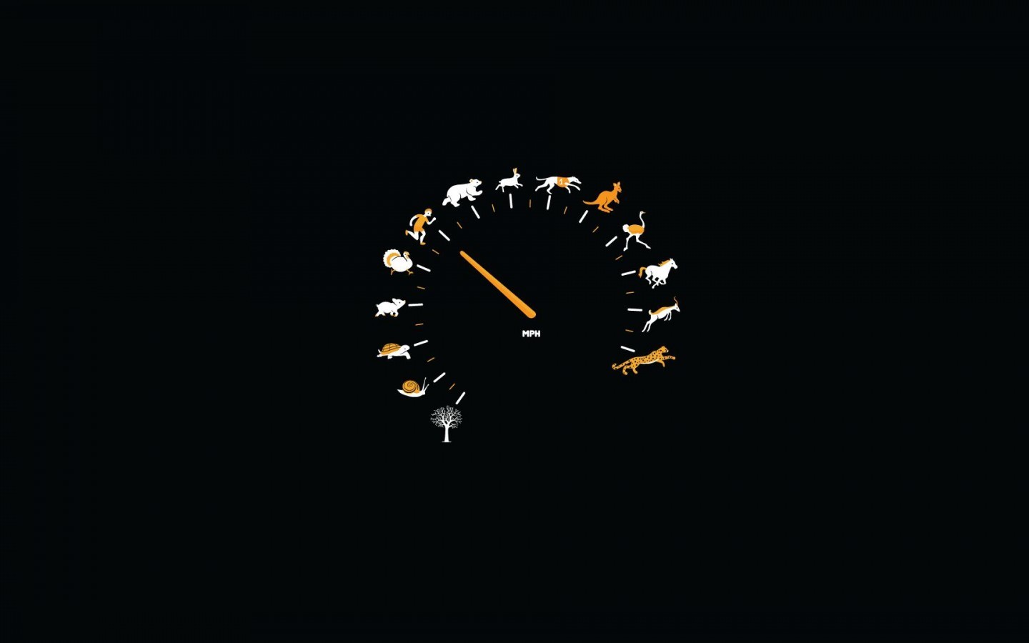 Speedometer with animals representing speed HD Wallpaper