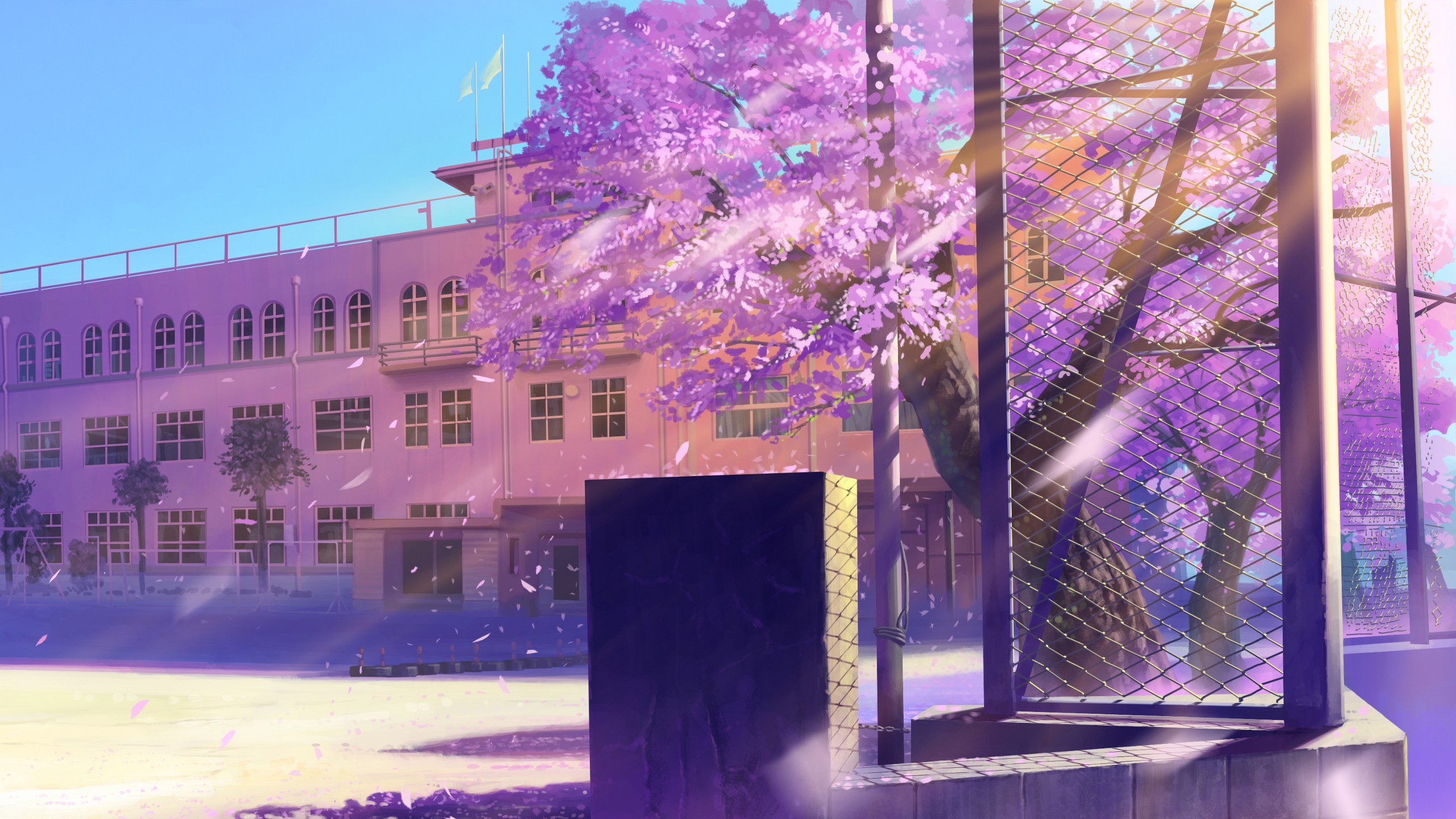 Anime school with cherry blossoms in bloom HD Wallpaper