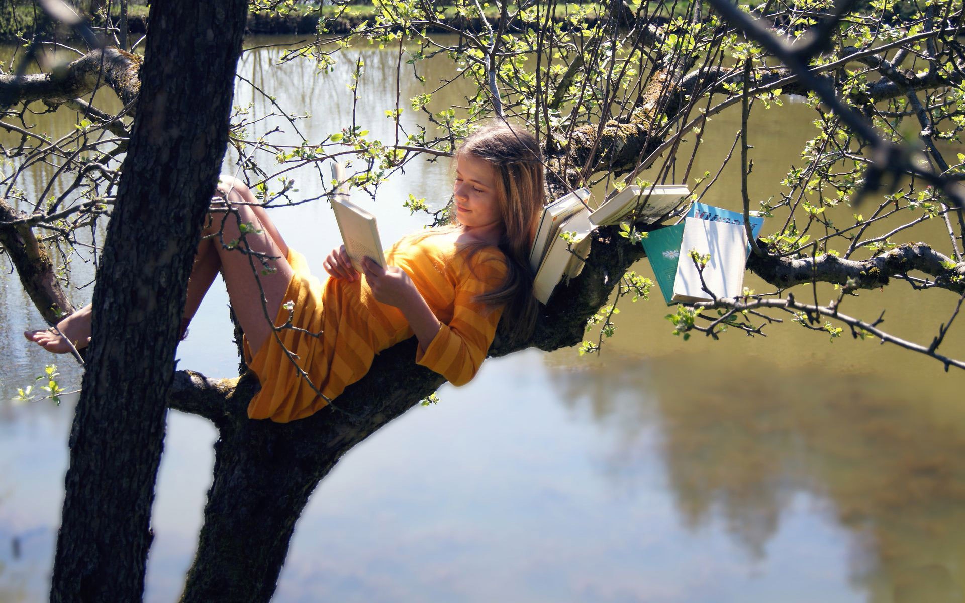 legs striped clothing barefoot dress women outdoors introvert reading books trees HD Wallpaper