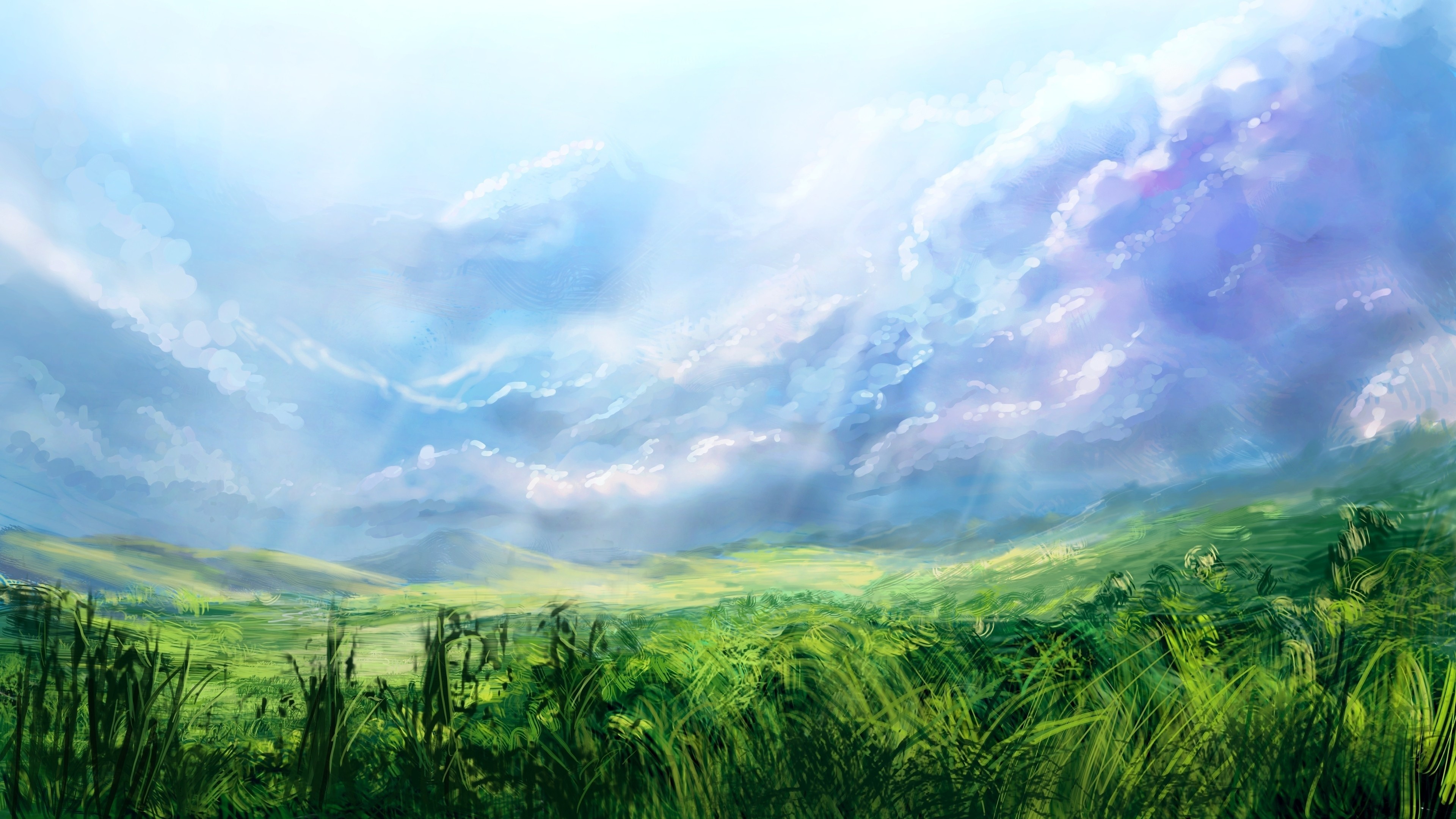Artwork of a grassy field under a cloudy sky HD Wallpaper