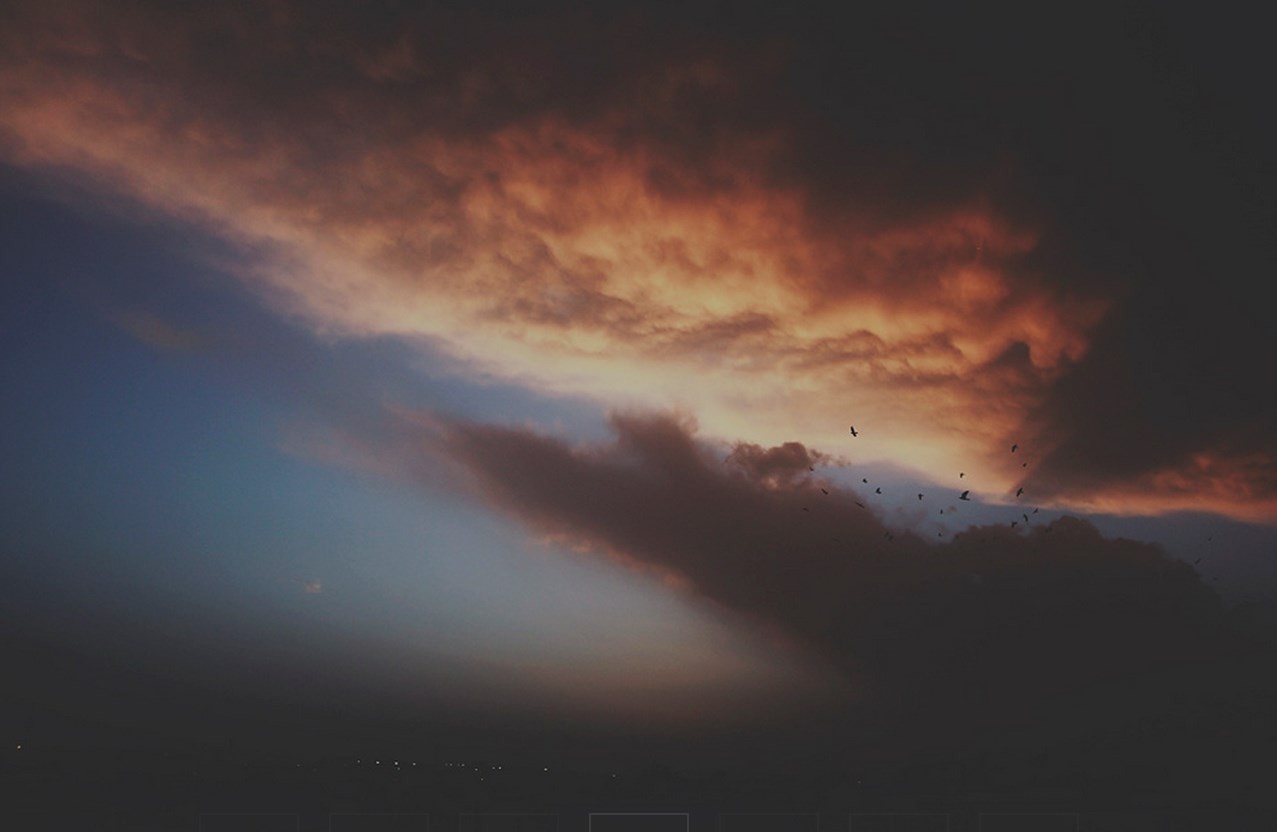 Birds flying in a dramatic sunset sky HD Wallpaper