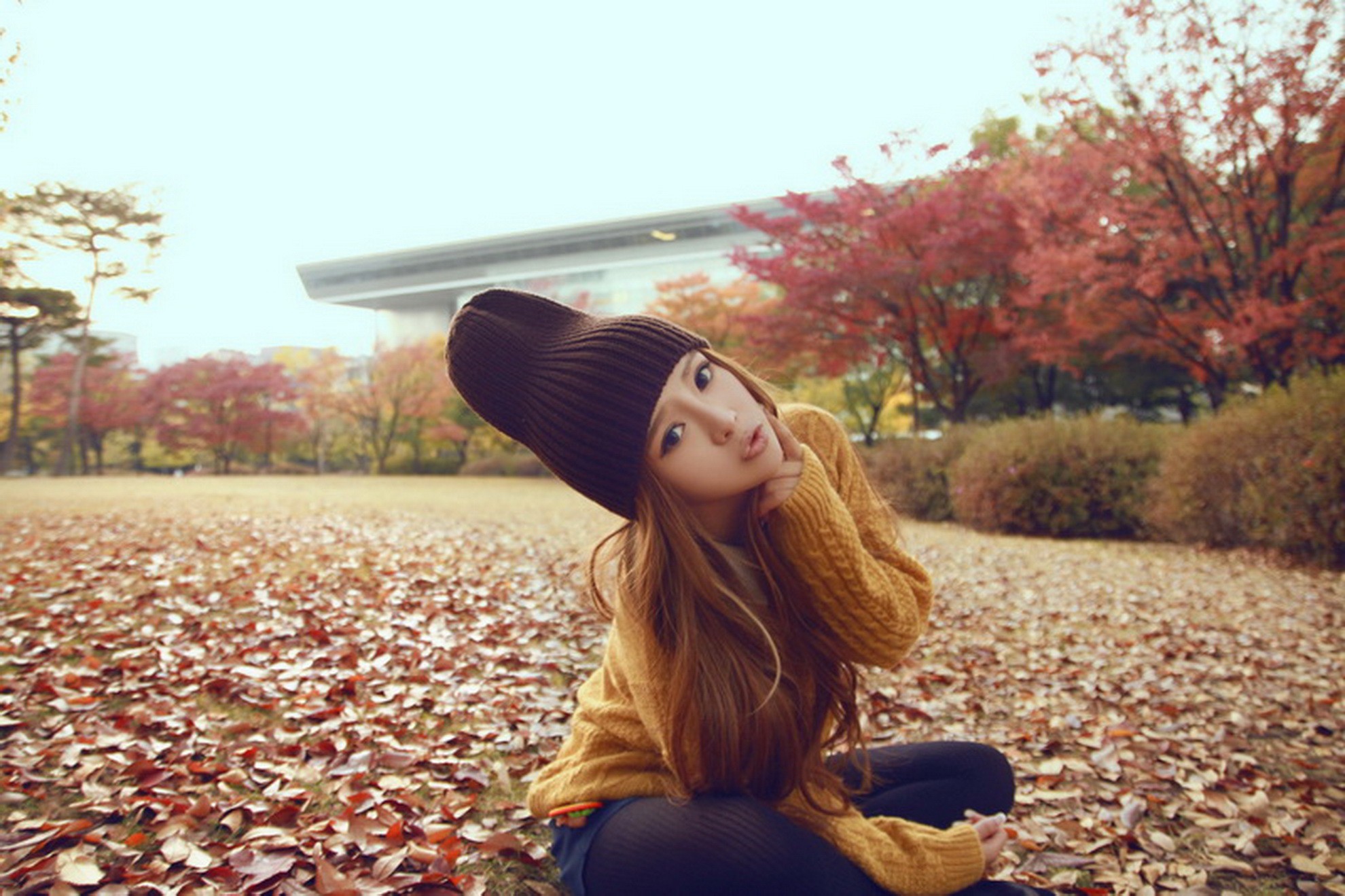 Asian woman wearing a hat and sweater in autumn park HD Wallpaper