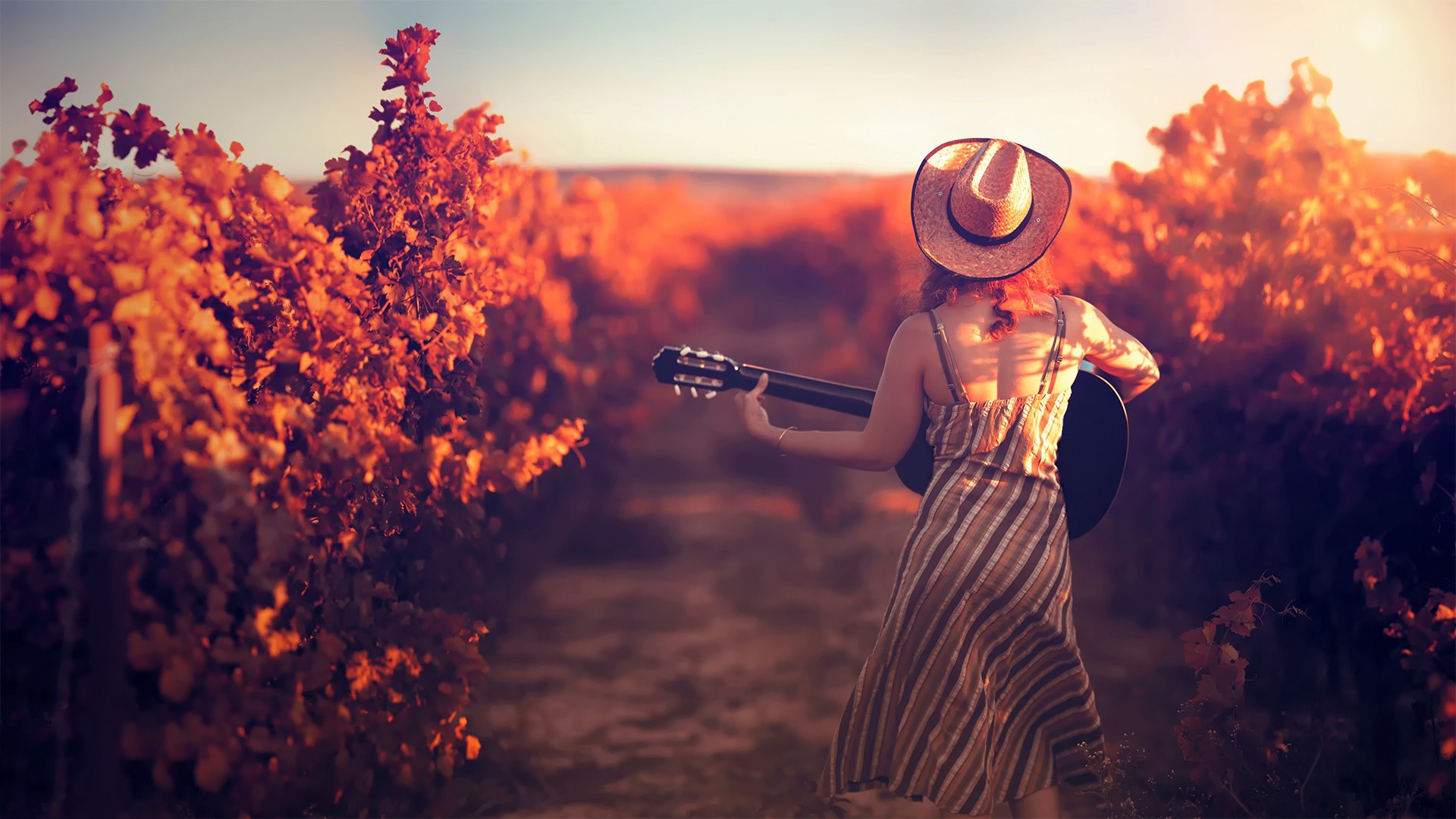 Woman in hat playing guitar in vineyard at sunset HD Wallpaper