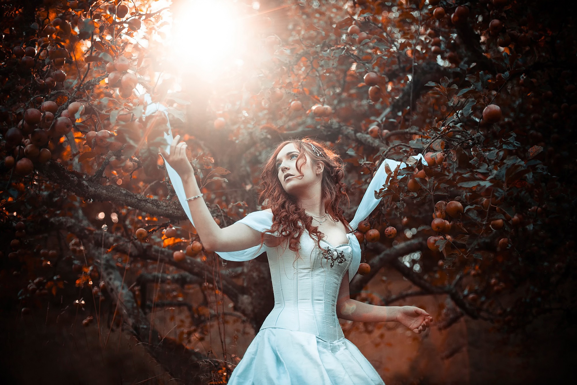Woman in a white corset dress in an apple orchard HD Wallpaper