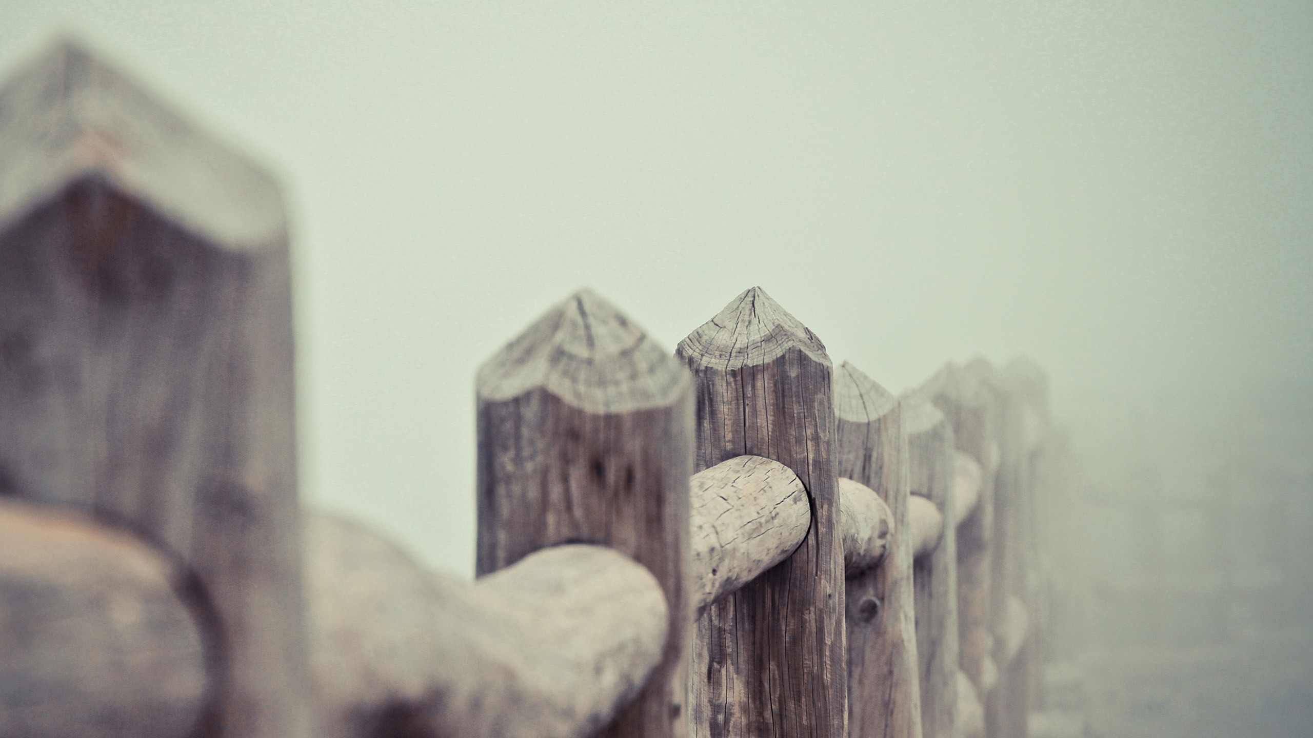 Wooden fence posts in the mist HD Wallpaper