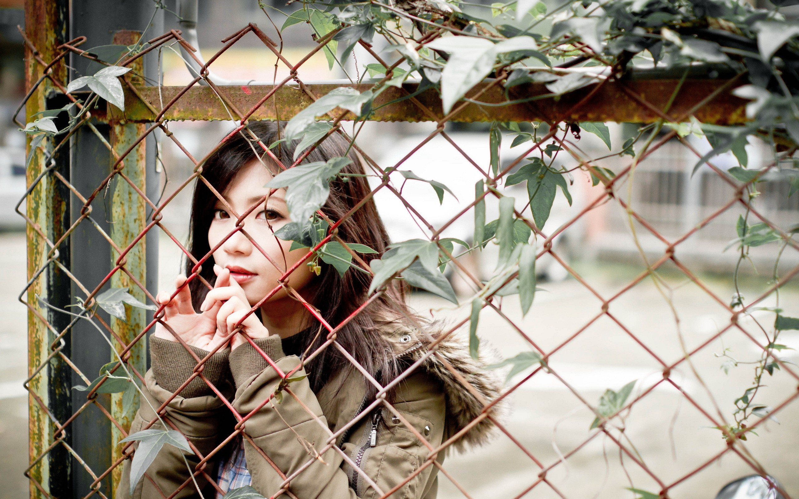 Asian woman behind a chain-link fence with vines HD Wallpaper