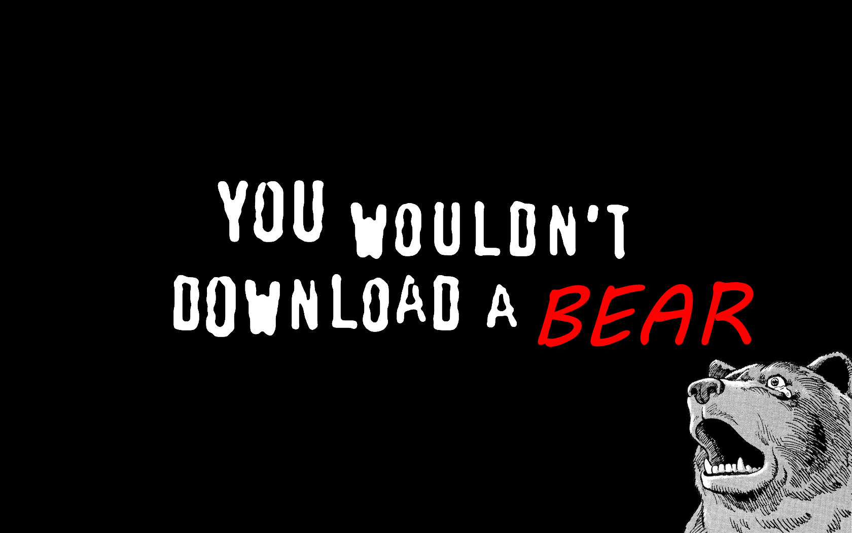 You Wouldn't Download a Bear HD Wallpaper