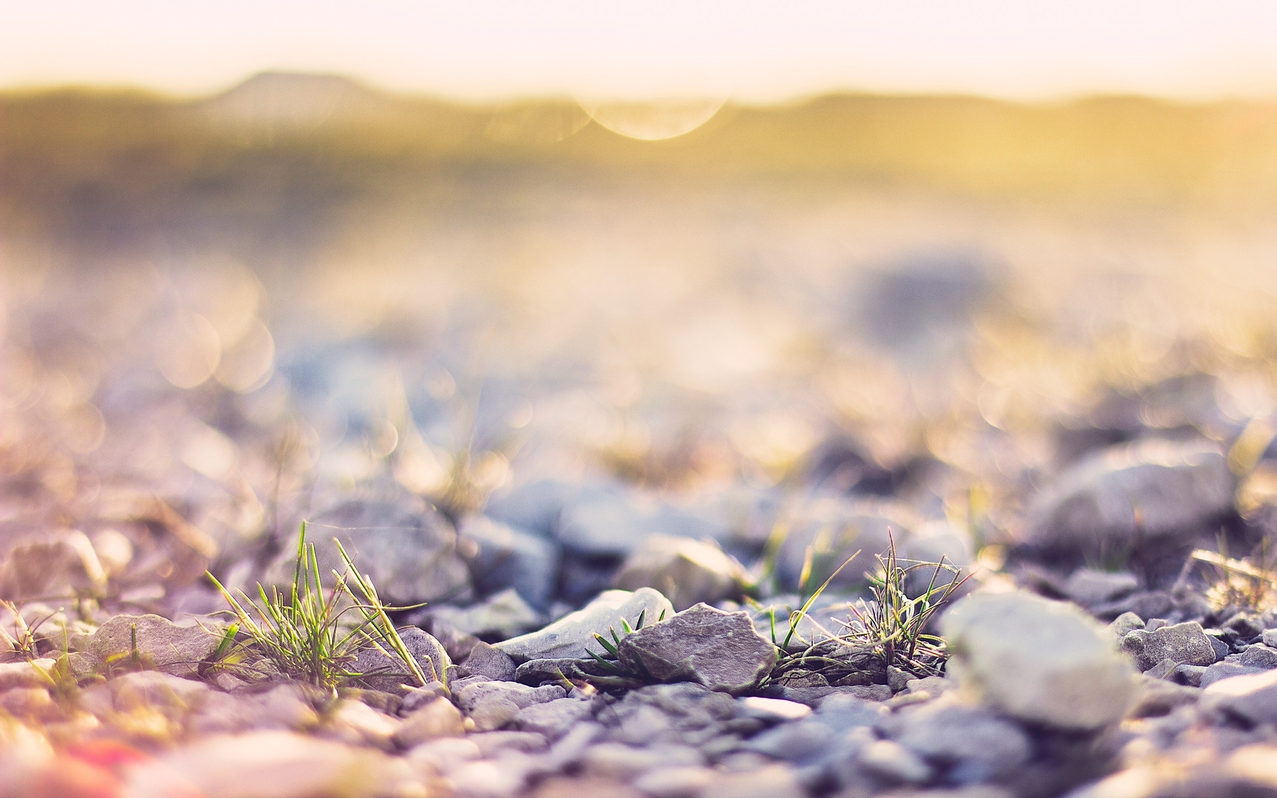 Close-up of rocks and grass with bokeh background HD Wallpaper