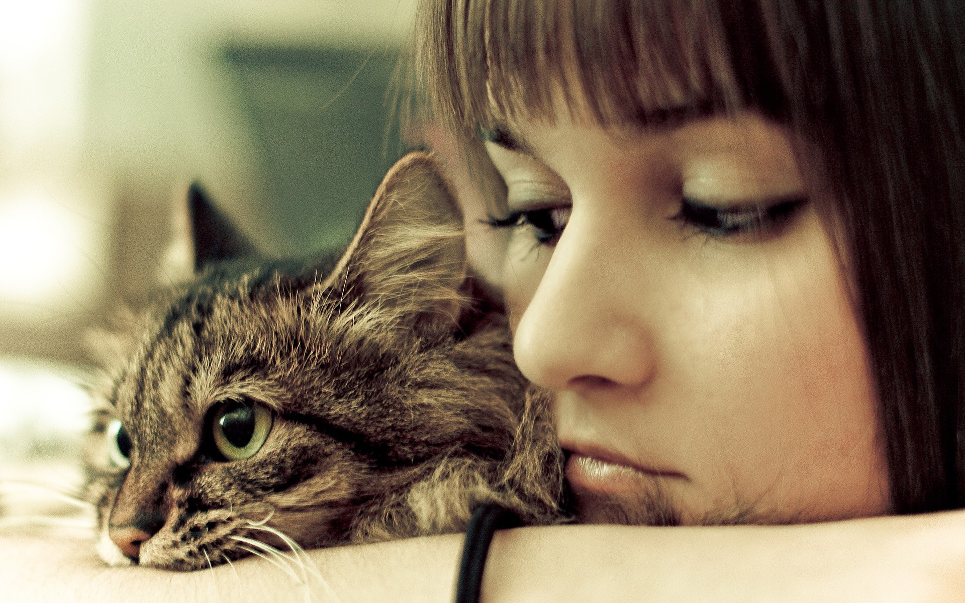 Girl with a cat HD Wallpaper